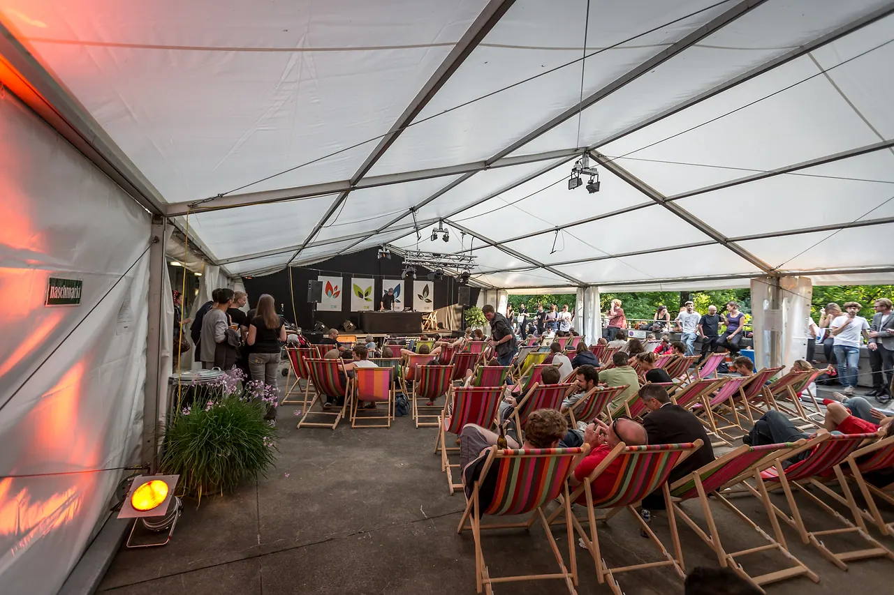 Asic live at Les Digitales Bern 2013, Botanischer Garten Bern – photo 10 of 11