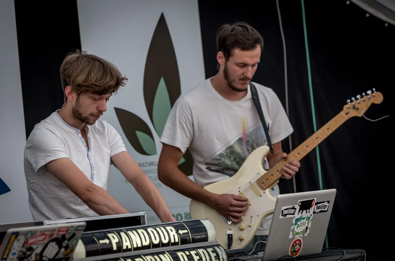 Pandour live an Les Digitales Bern 2013, Botanischer Garten Bern – Foto 4 von 16