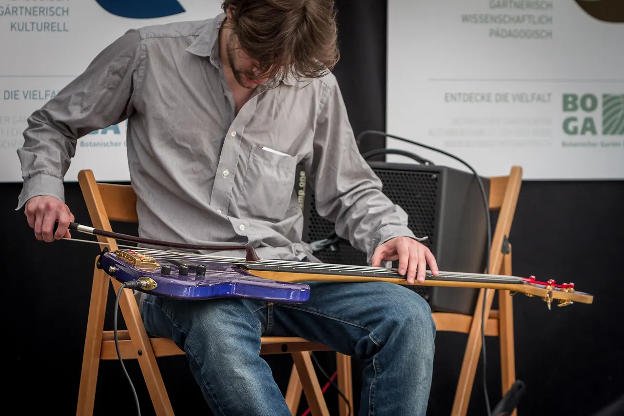 Somnambulance live an Les Digitales Bern 2013, Botanischer Garten Bern – Foto 5 von 25