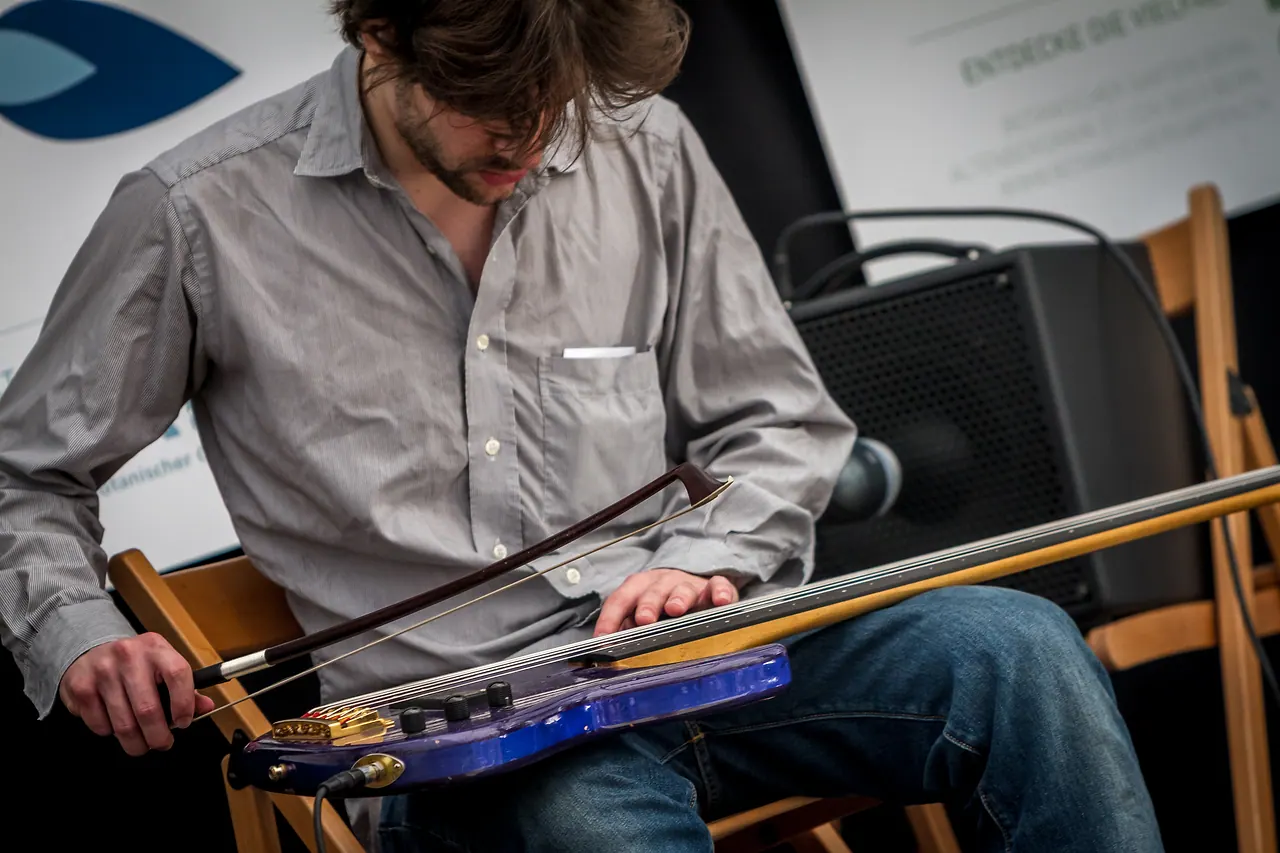 Somnambulance live an Les Digitales Bern 2013, Botanischer Garten Bern – Foto 6 von 25