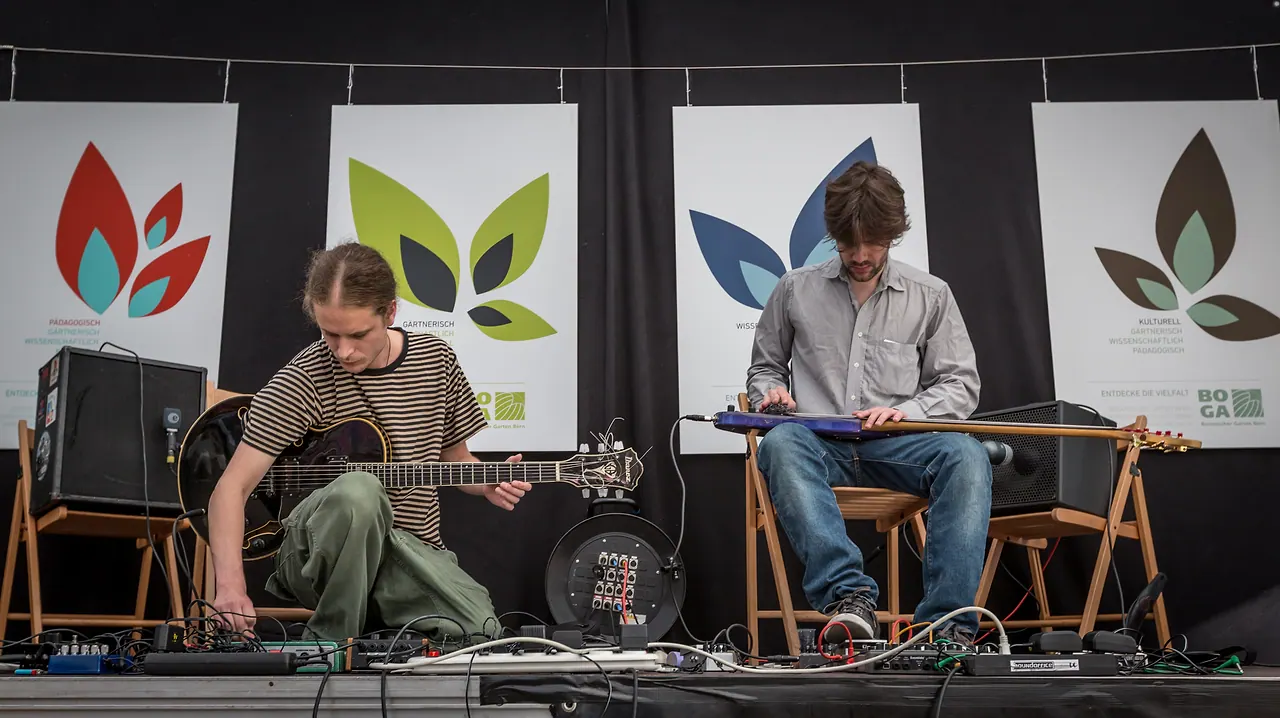 Somnambulance live an Les Digitales Bern 2013, Botanischer Garten Bern – Foto 11 von 25