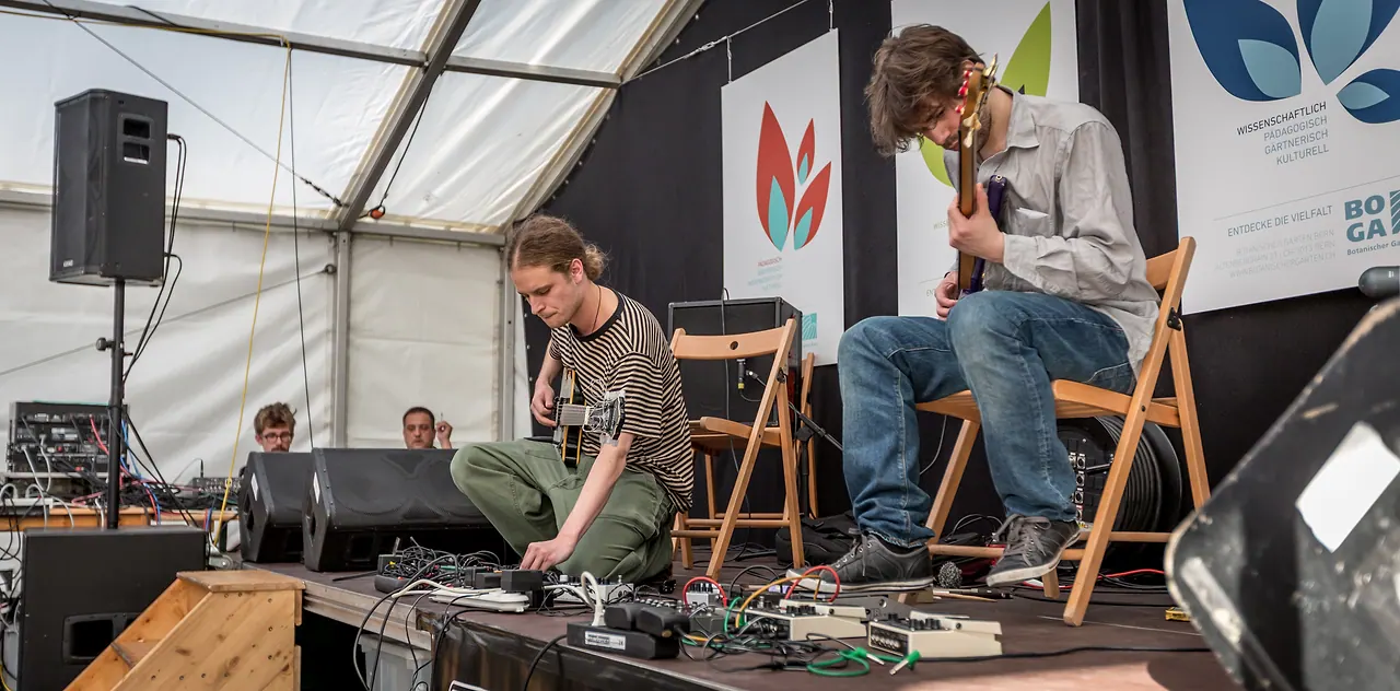Somnambulance live an Les Digitales Bern 2013, Botanischer Garten Bern – Foto 24 von 25