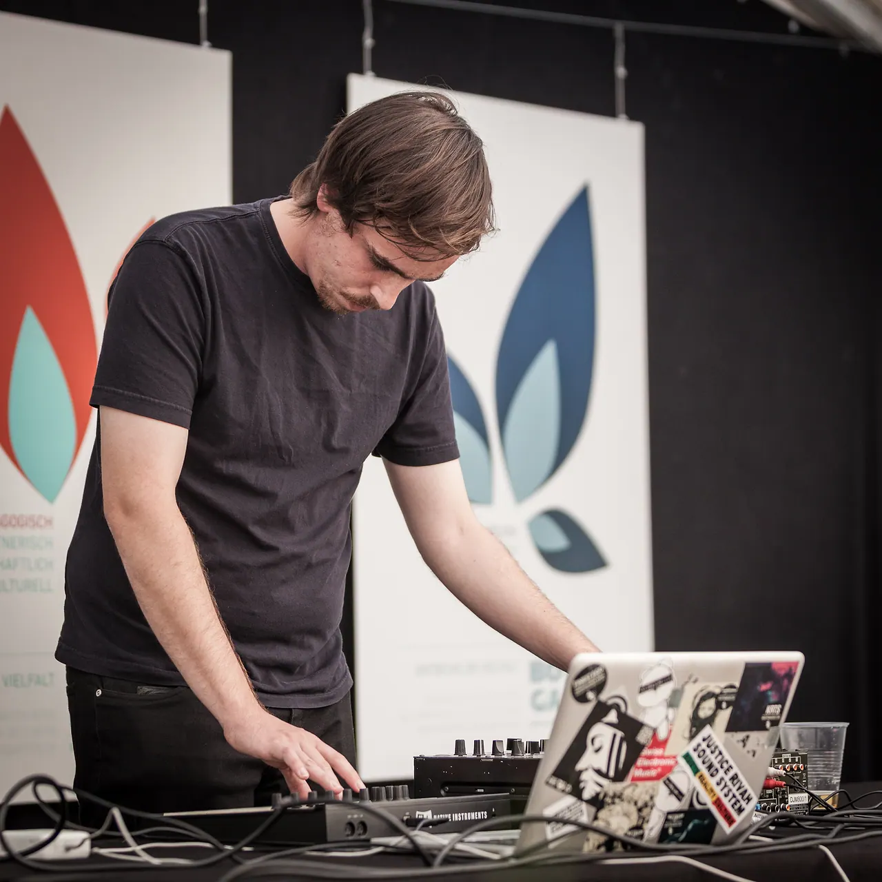 Baumeister live at Les Digitales Bern 2014, Botanischer Garten Bern – photo 4 of 11
