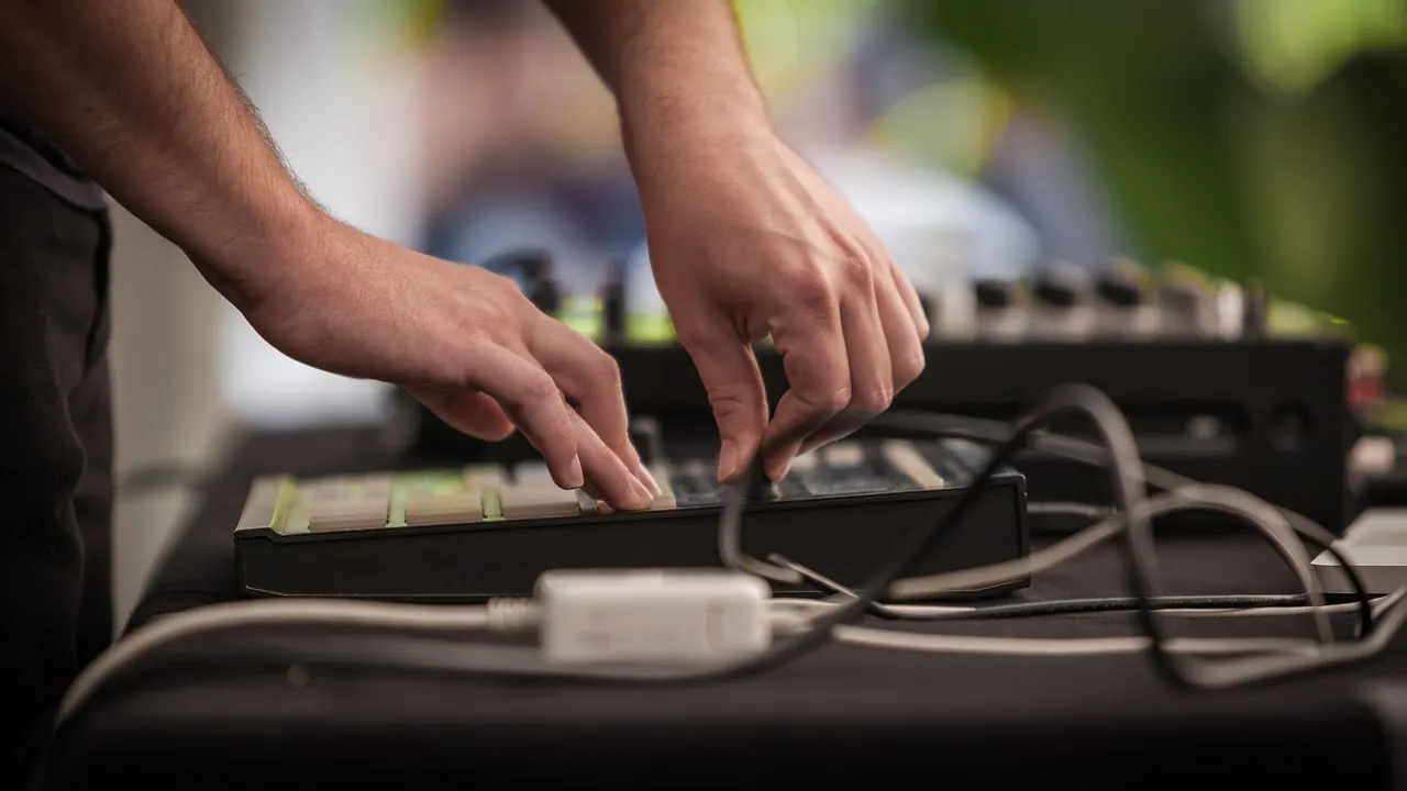 Baumeister live at Les Digitales Bern 2014, Botanischer Garten Bern – photo 10 of 11