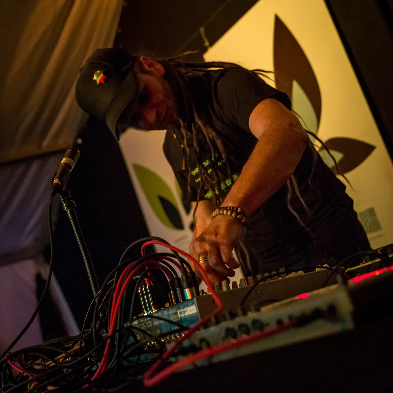 Chris Dubflow live an Les Digitales Bern 2014, Botanischer Garten Bern – Foto 2 von 19