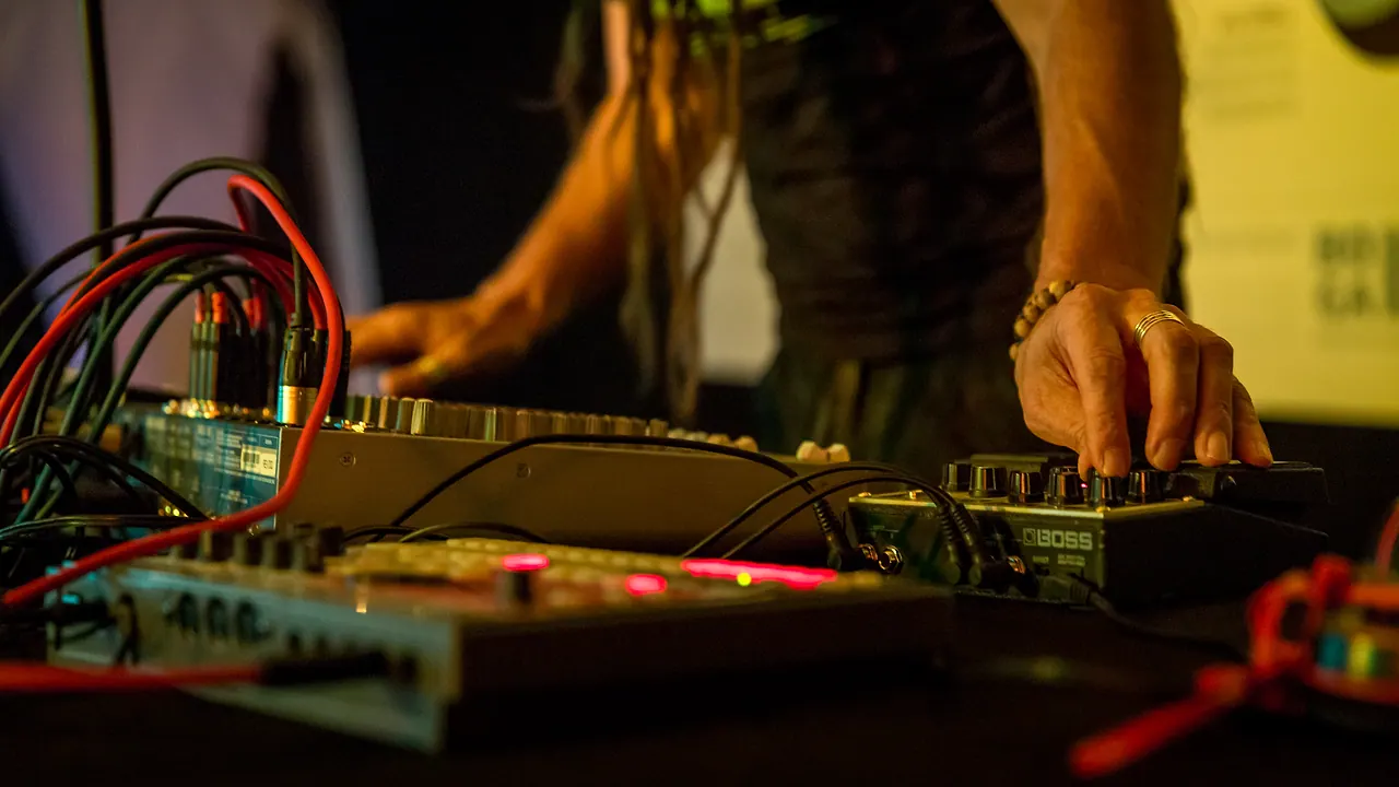 Chris Dubflow live an Les Digitales Bern 2014, Botanischer Garten Bern – Foto 5 von 19