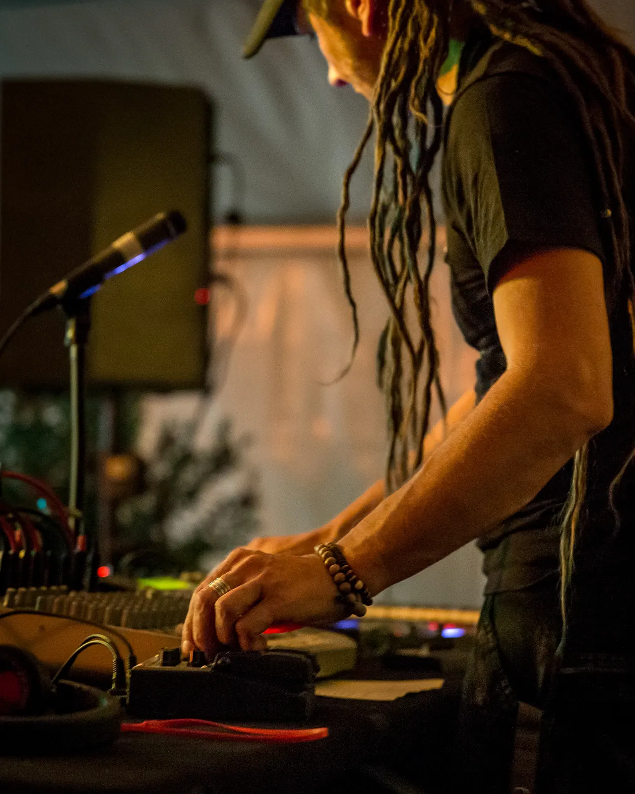 Chris Dubflow live an Les Digitales Bern 2014, Botanischer Garten Bern – Foto 6 von 19