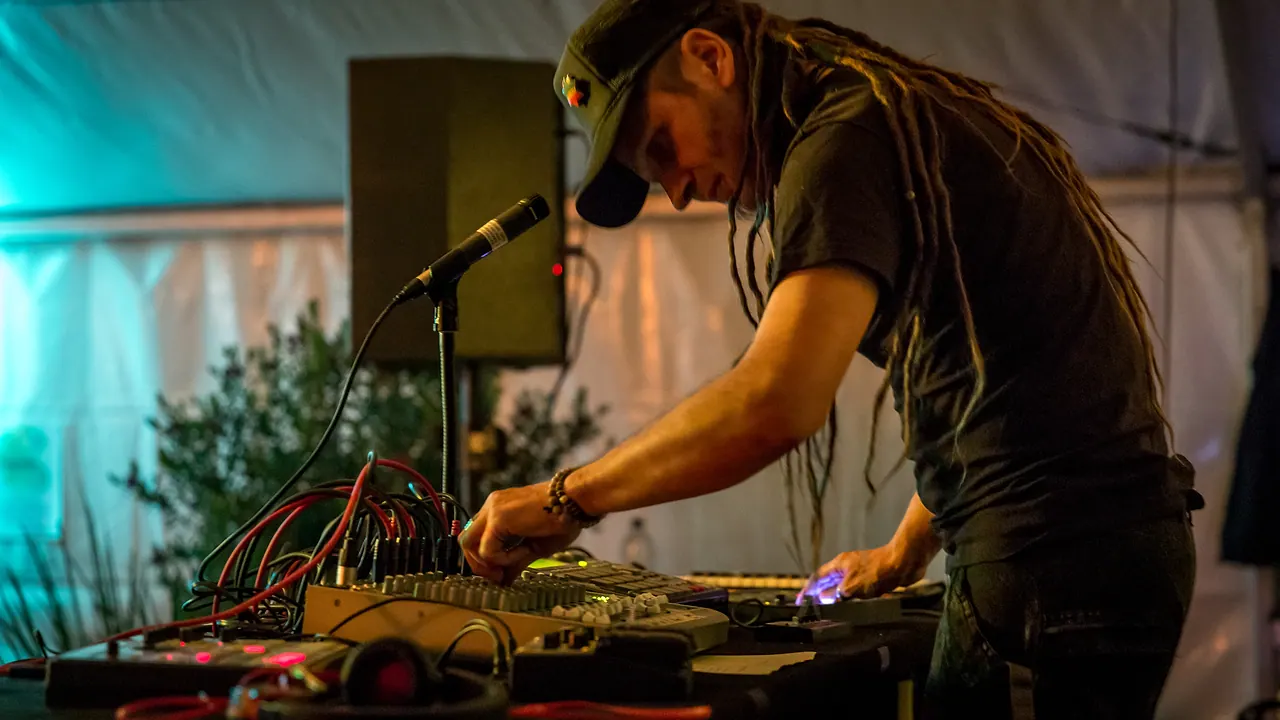 Chris Dubflow live an Les Digitales Bern 2014, Botanischer Garten Bern – Foto 8 von 19