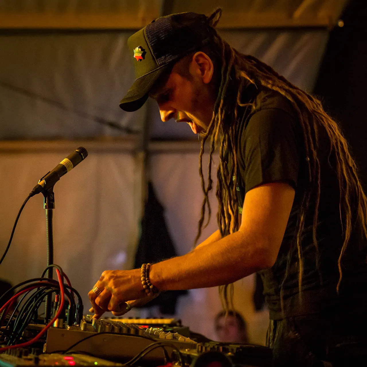 Chris Dubflow live an Les Digitales Bern 2014, Botanischer Garten Bern – Foto 16 von 19