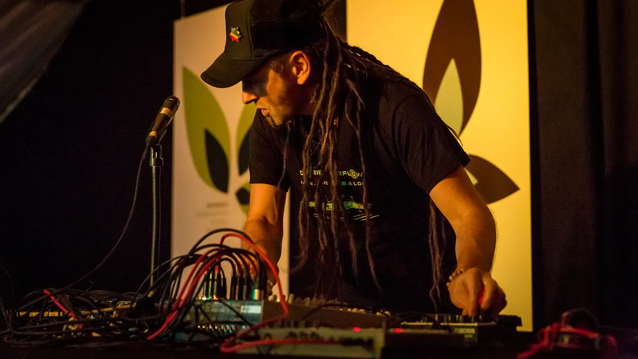 Chris Dubflow live an Les Digitales Bern 2014, Botanischer Garten Bern – Foto 17 von 19