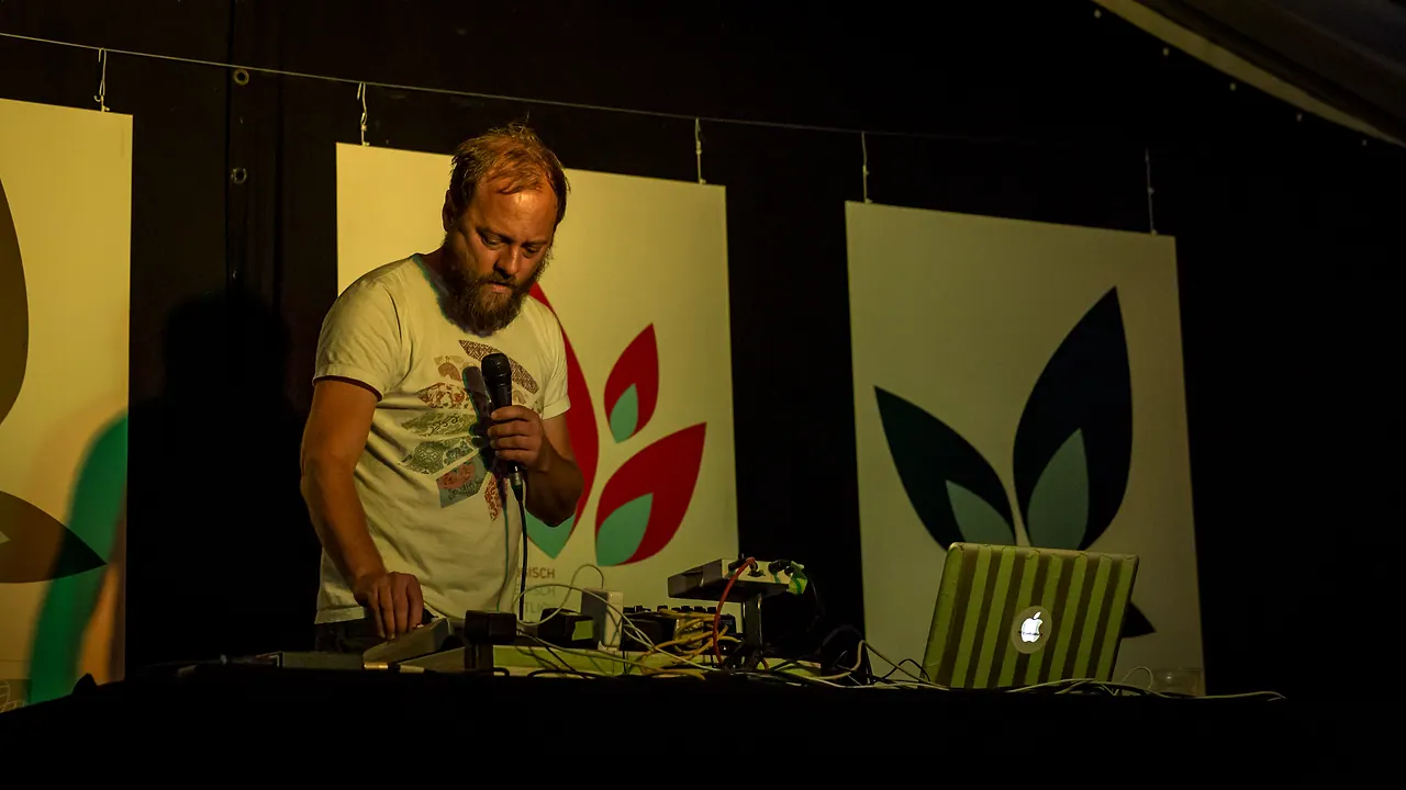 Dubokaj live an Les Digitales Bern 2014, Botanischer Garten Bern – Foto 3 von 20