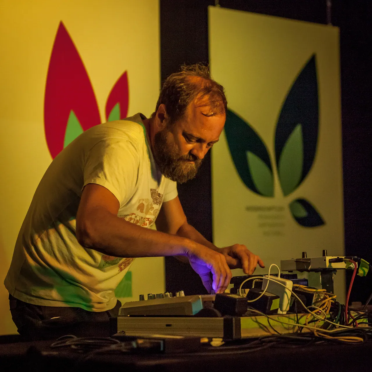 Dubokaj live an Les Digitales Bern 2014, Botanischer Garten Bern – Foto 12 von 20