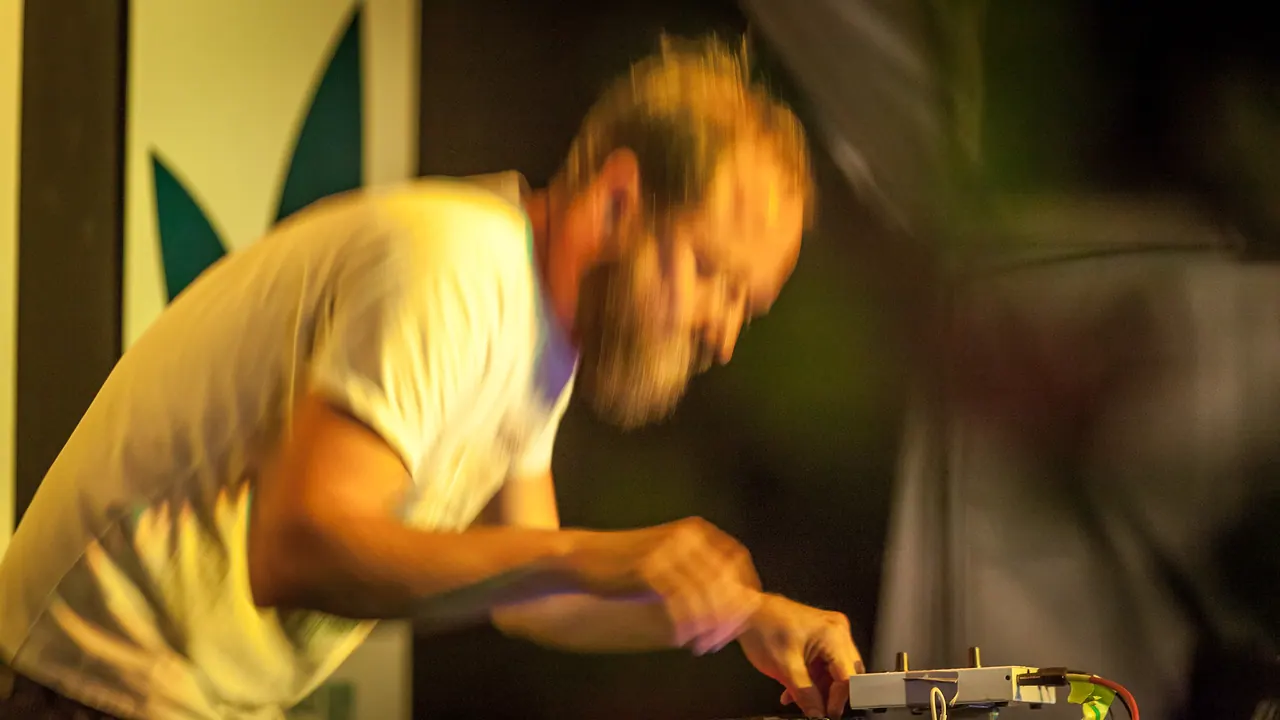 Dubokaj live an Les Digitales Bern 2014, Botanischer Garten Bern – Foto 13 von 20