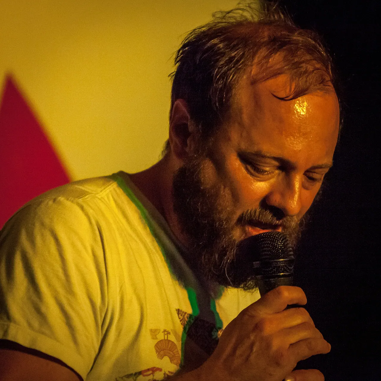 Dubokaj live an Les Digitales Bern 2014, Botanischer Garten Bern – Foto 14 von 20