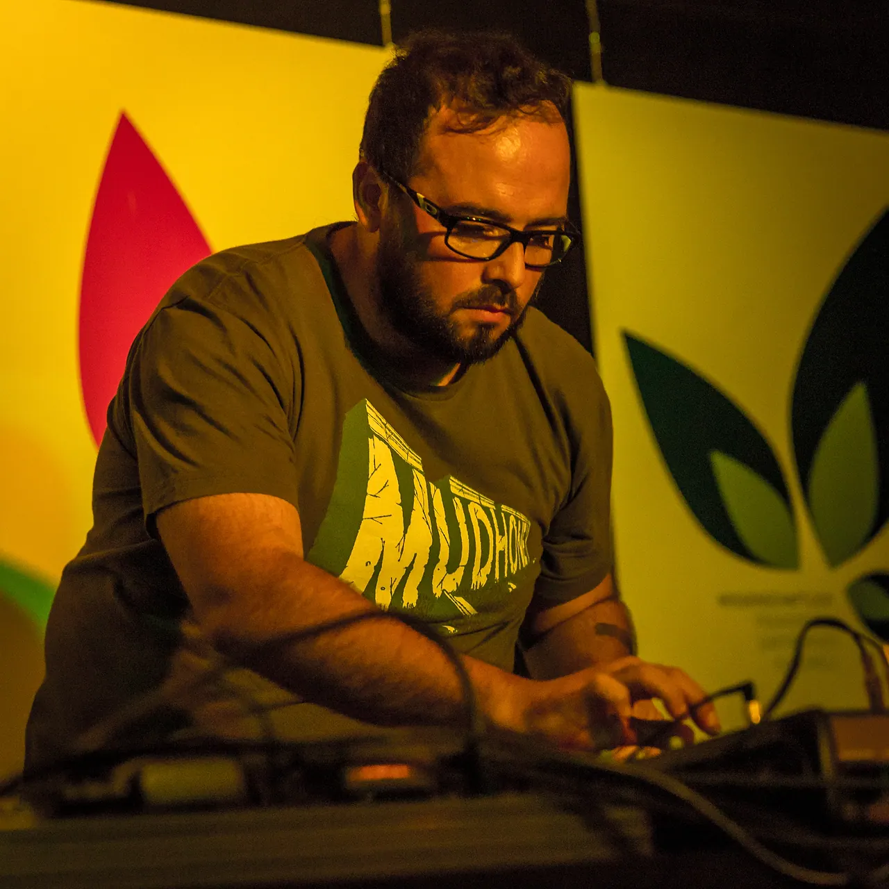 Fernando Lagreca live an Les Digitales Bern 2014, Botanischer Garten Bern – Foto 3 von 20