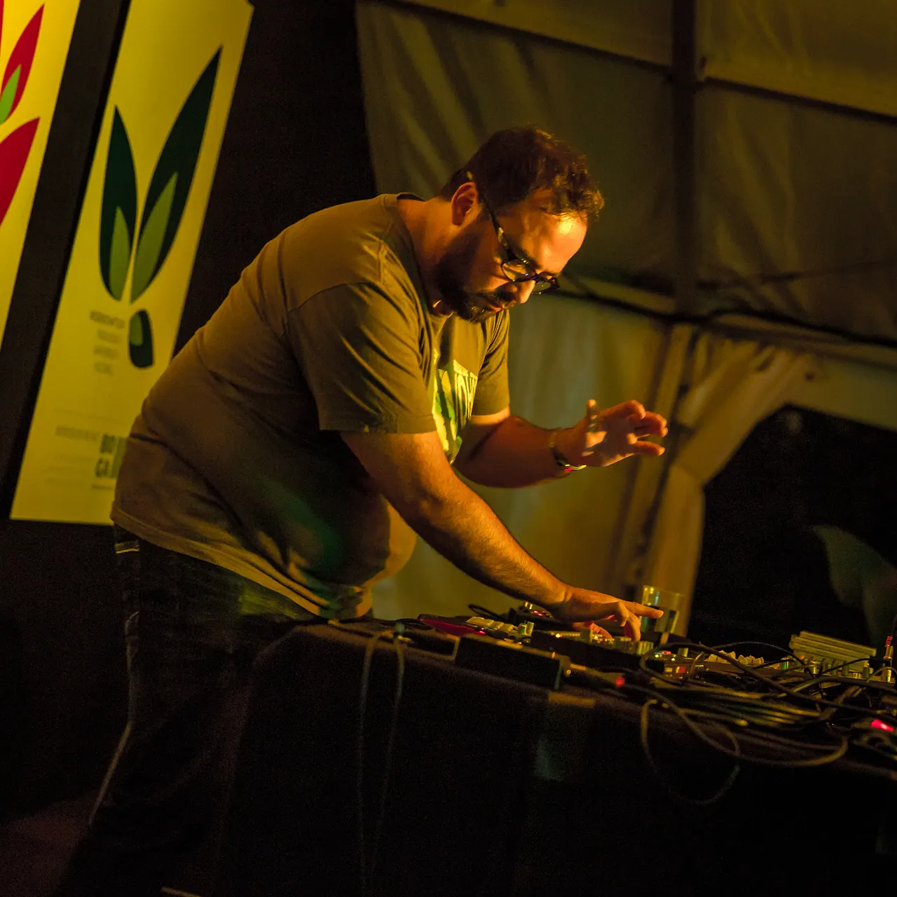 Fernando Lagreca live an Les Digitales Bern 2014, Botanischer Garten Bern – Foto 5 von 20