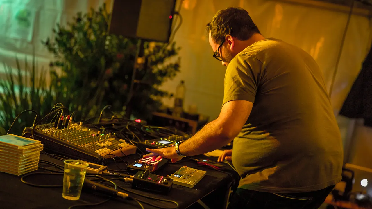 Fernando Lagreca live an Les Digitales Bern 2014, Botanischer Garten Bern – Foto 7 von 20