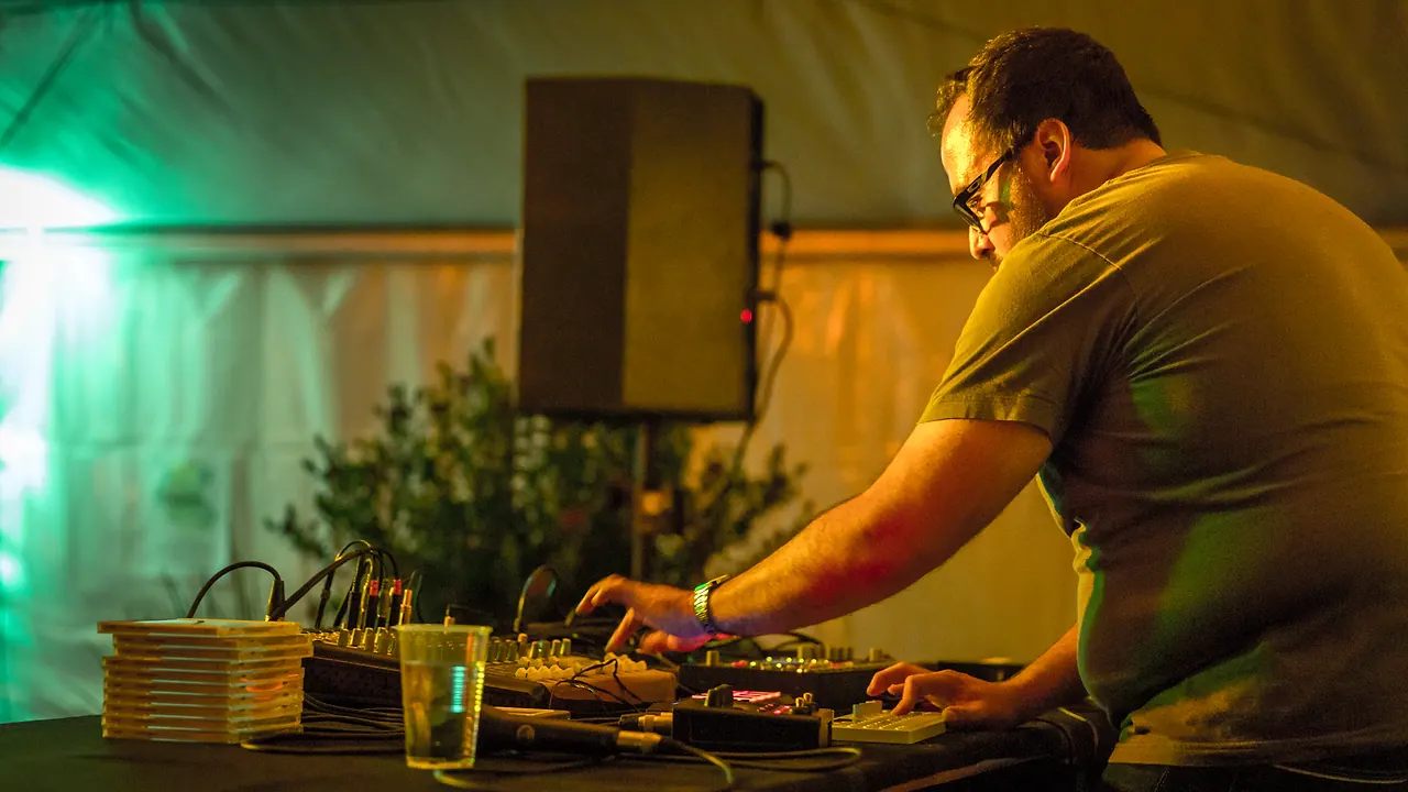 Fernando Lagreca live an Les Digitales Bern 2014, Botanischer Garten Bern – Foto 9 von 20
