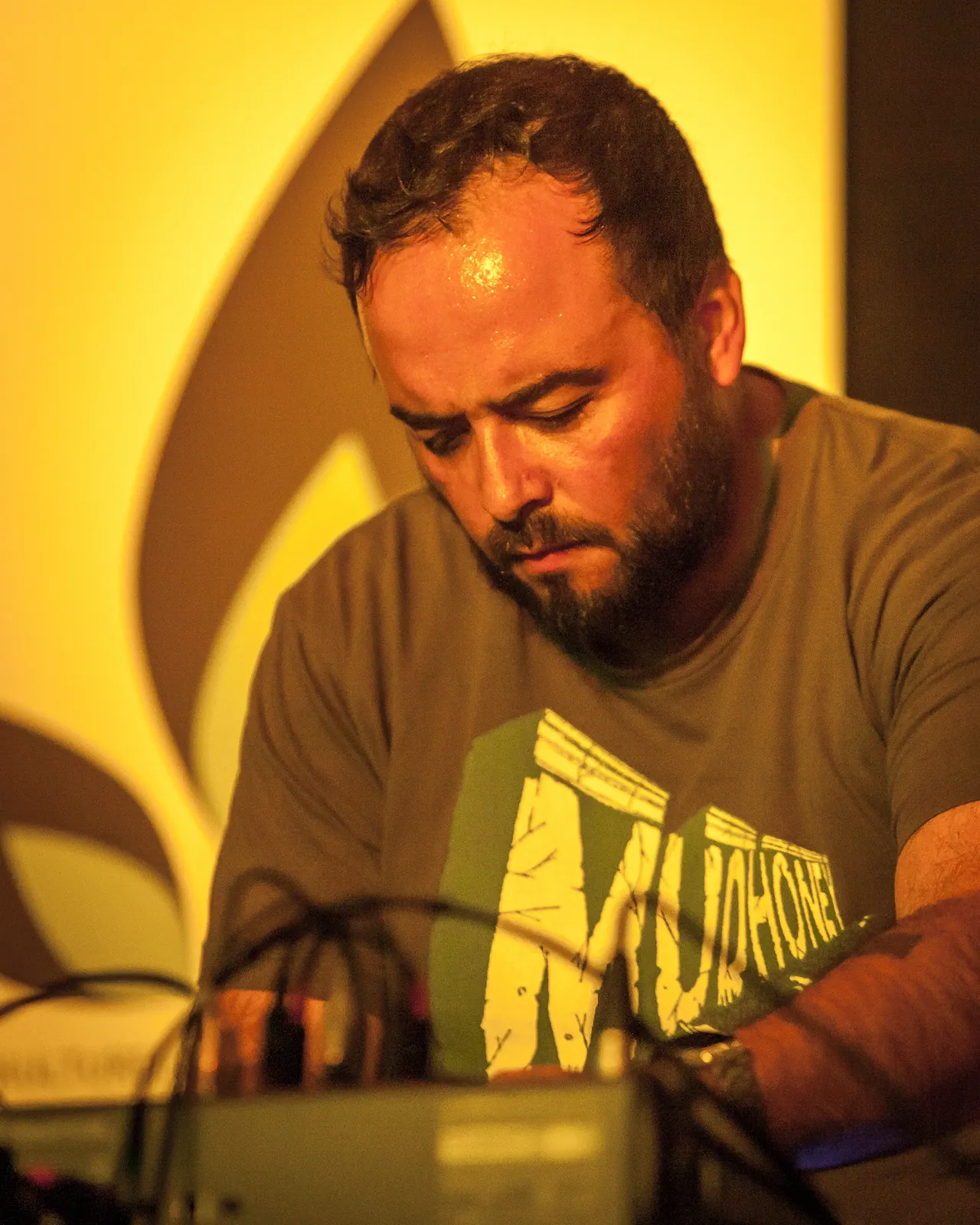Fernando Lagreca live an Les Digitales Bern 2014, Botanischer Garten Bern – Foto 12 von 20