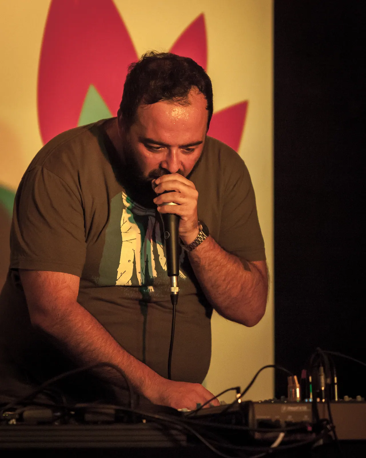 Fernando Lagreca live an Les Digitales Bern 2014, Botanischer Garten Bern – Foto 17 von 20