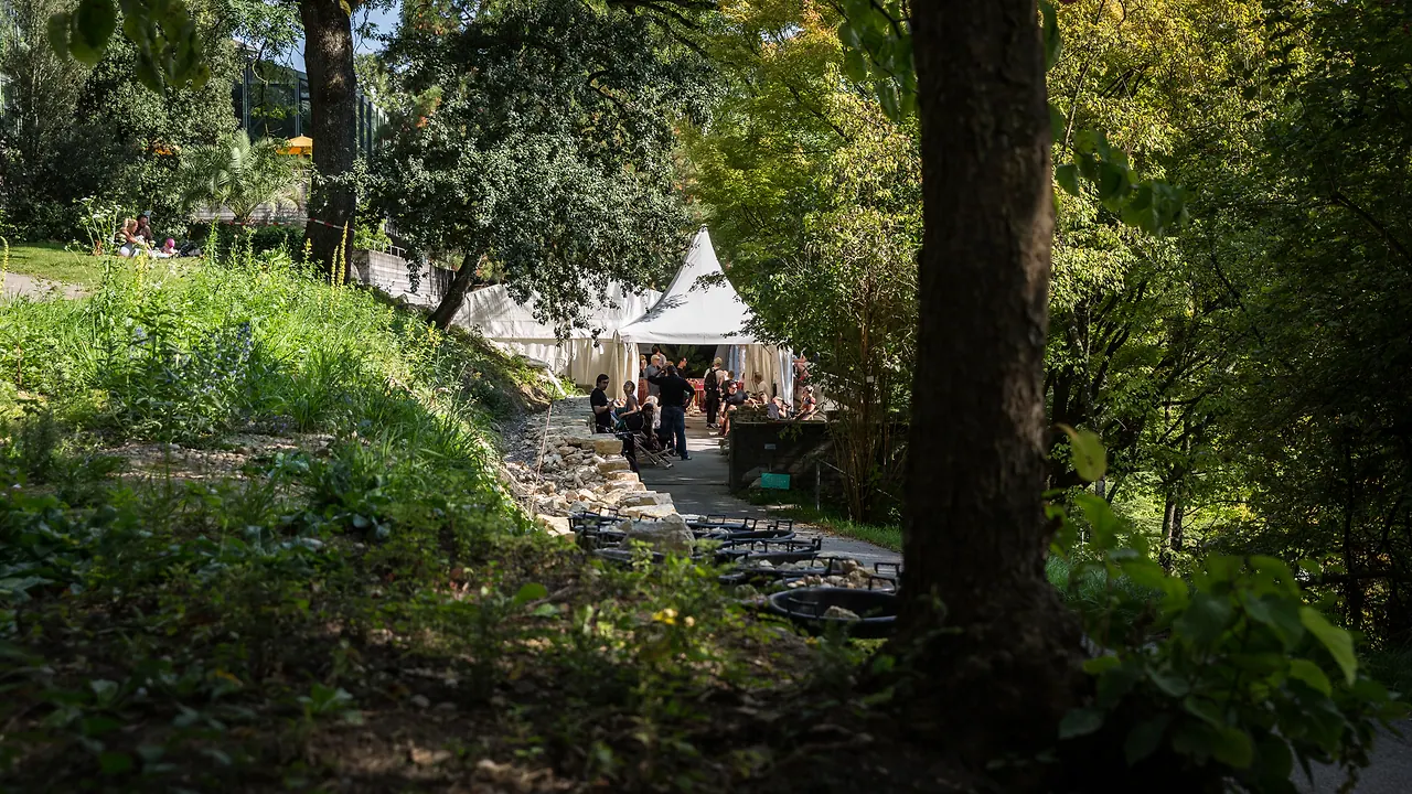 Impressionen von Les Digitales Bern 2014, Botanischer Garten Bern – Foto 4 von 32