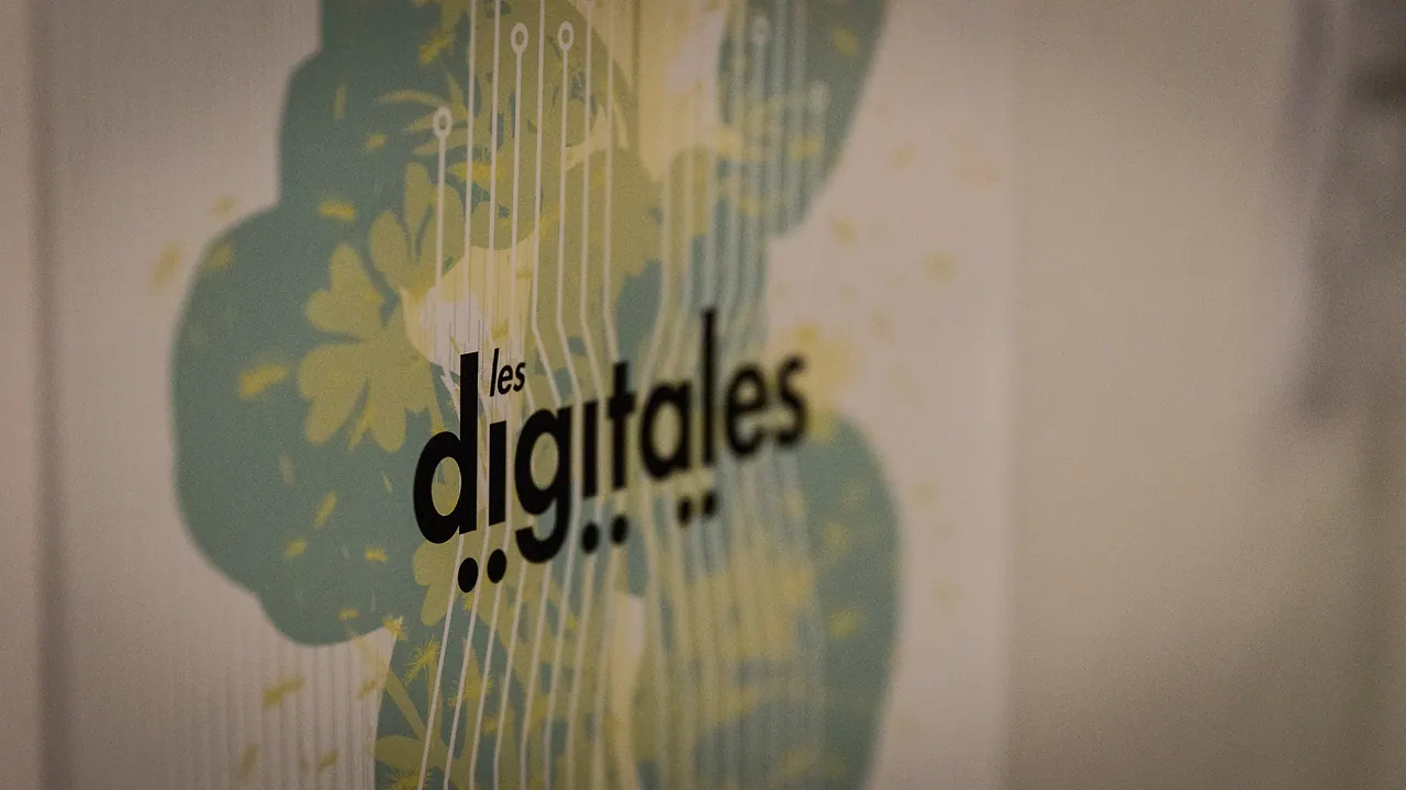 Impressionen von Les Digitales Bern 2014, Botanischer Garten Bern – Foto 26 von 28
