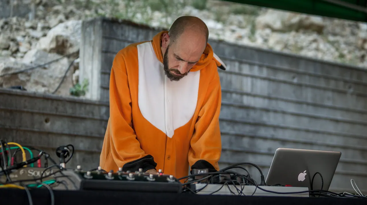 A Virtual Friend live at Les Digitales Bern 2015, Botanischer Garten Bern – photo 9 of 10
