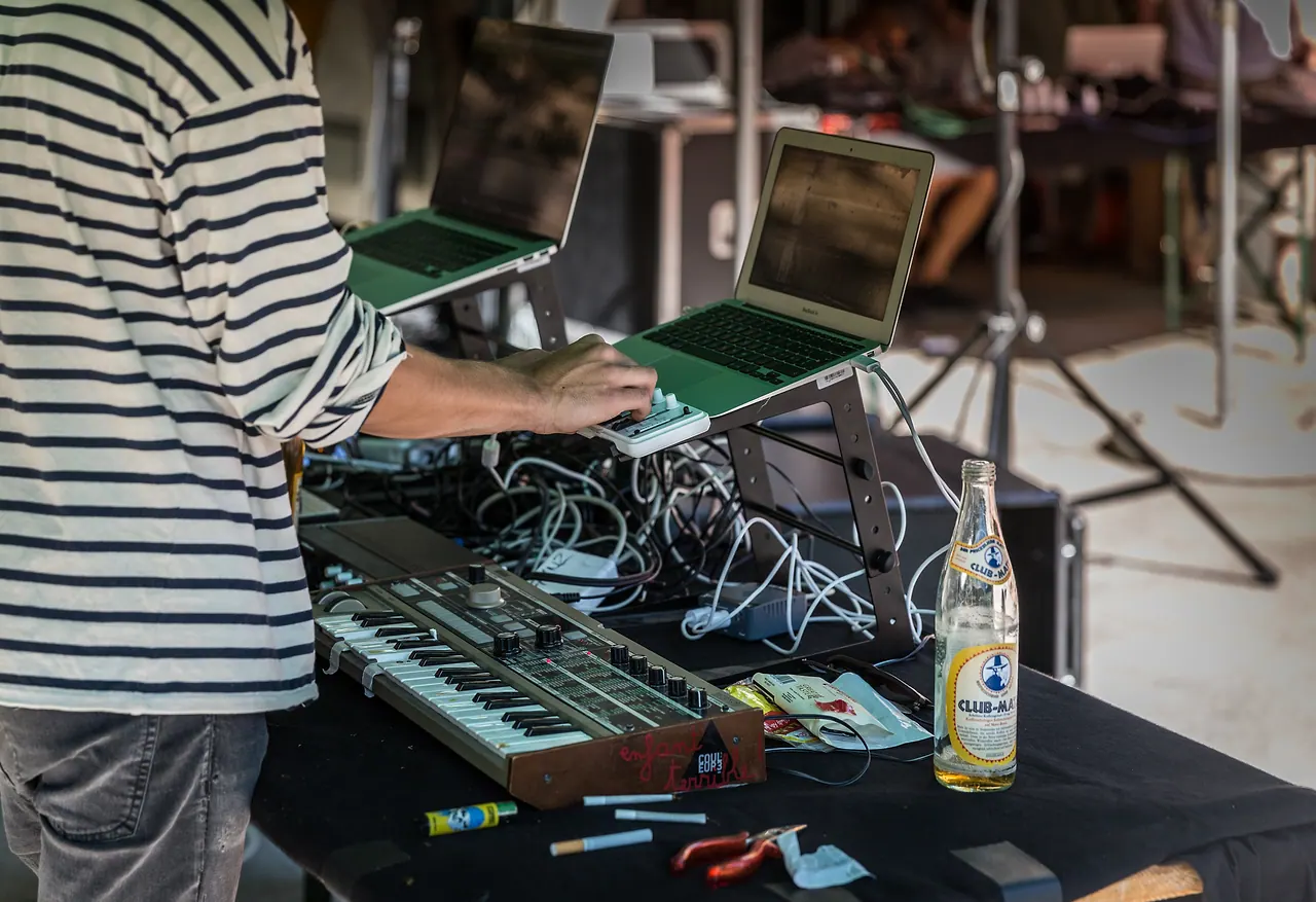 Ariane Effect live an Les Digitales Bern 2015, Botanischer Garten Bern – Foto 6 von 12