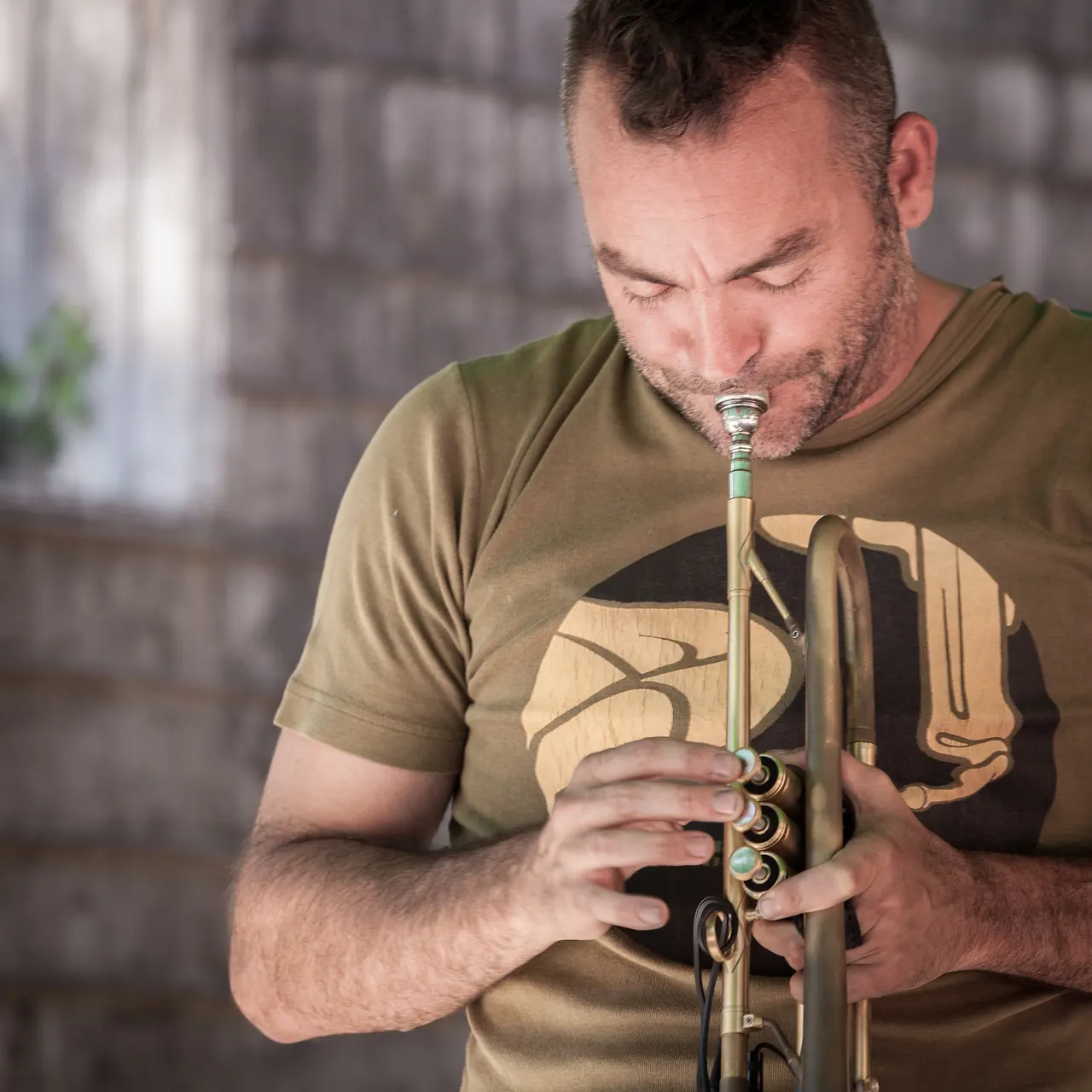 BrassDragon live an Les Digitales Bern 2015, Botanischer Garten Bern – Foto 9 von 10