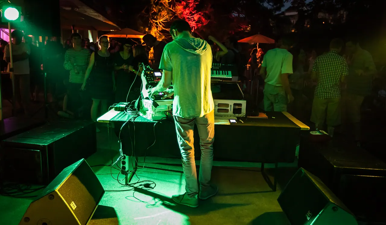 CO5MA live at Les Digitales Bern 2015, Botanischer Garten Bern – photo 3 of 14