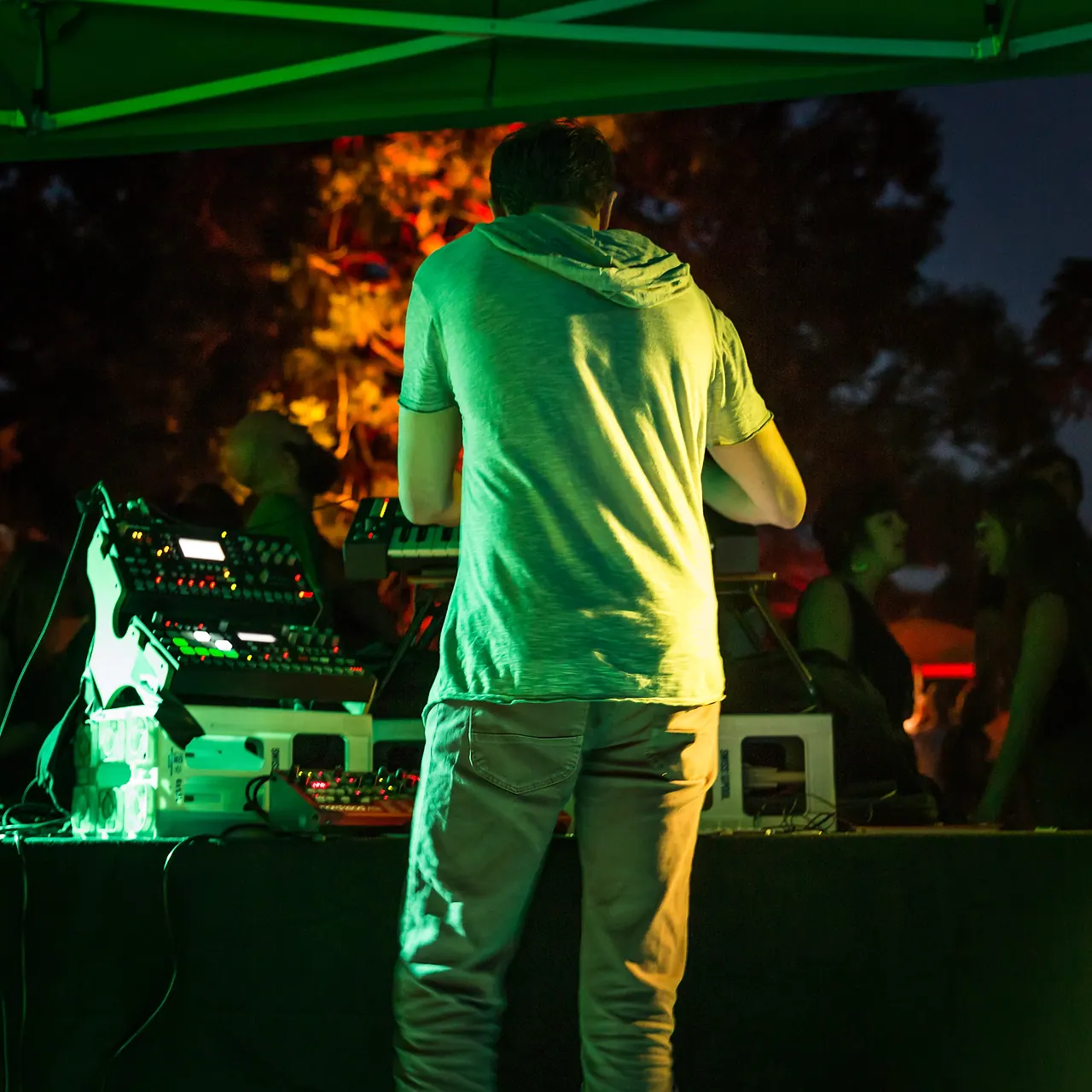 CO5MA live at Les Digitales Bern 2015, Botanischer Garten Bern – photo 4 of 14