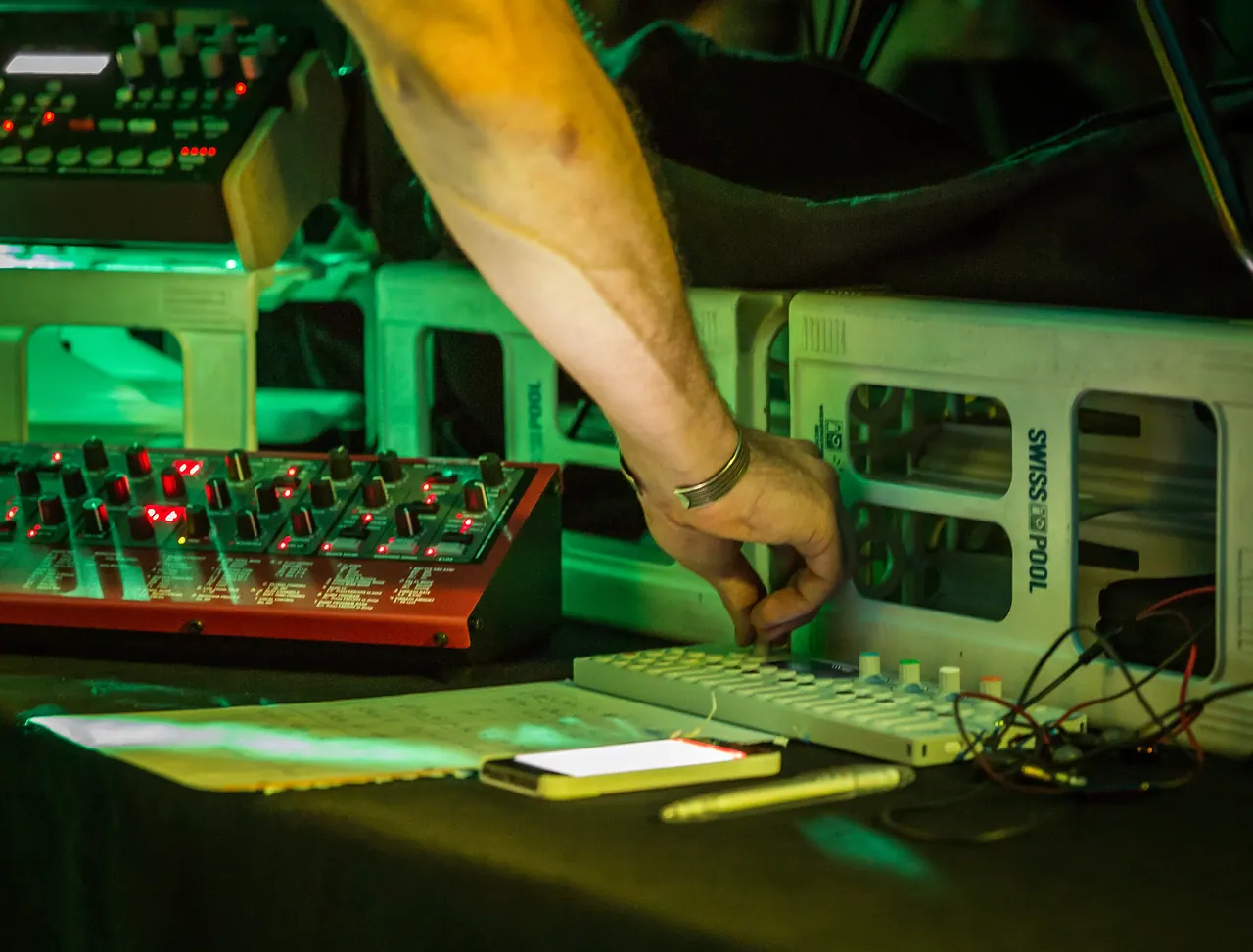 CO5MA live at Les Digitales Bern 2015, Botanischer Garten Bern – photo 10 of 14