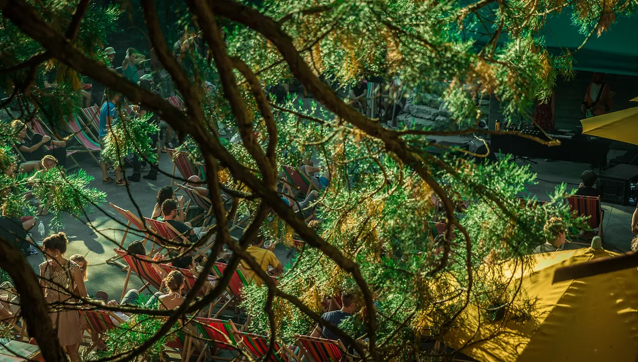Impressionen von Les Digitales Bern 2015, Botanischer Garten Bern – Foto 29 von 48