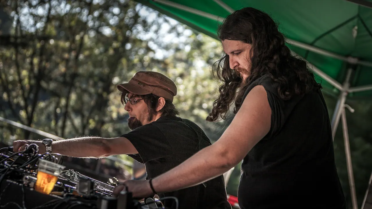 Mulo Muto meets Nagel live at Les Digitales Bern 2015, Botanischer Garten Bern – photo 14 of 29