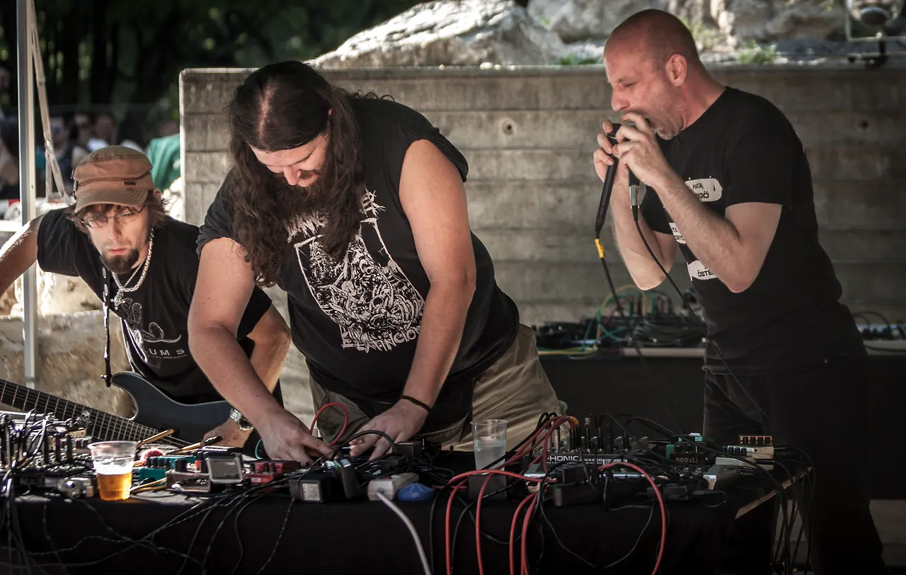 Mulo Muto meets Nagel live at Les Digitales Bern 2015, Botanischer Garten Bern – photo 21 of 29