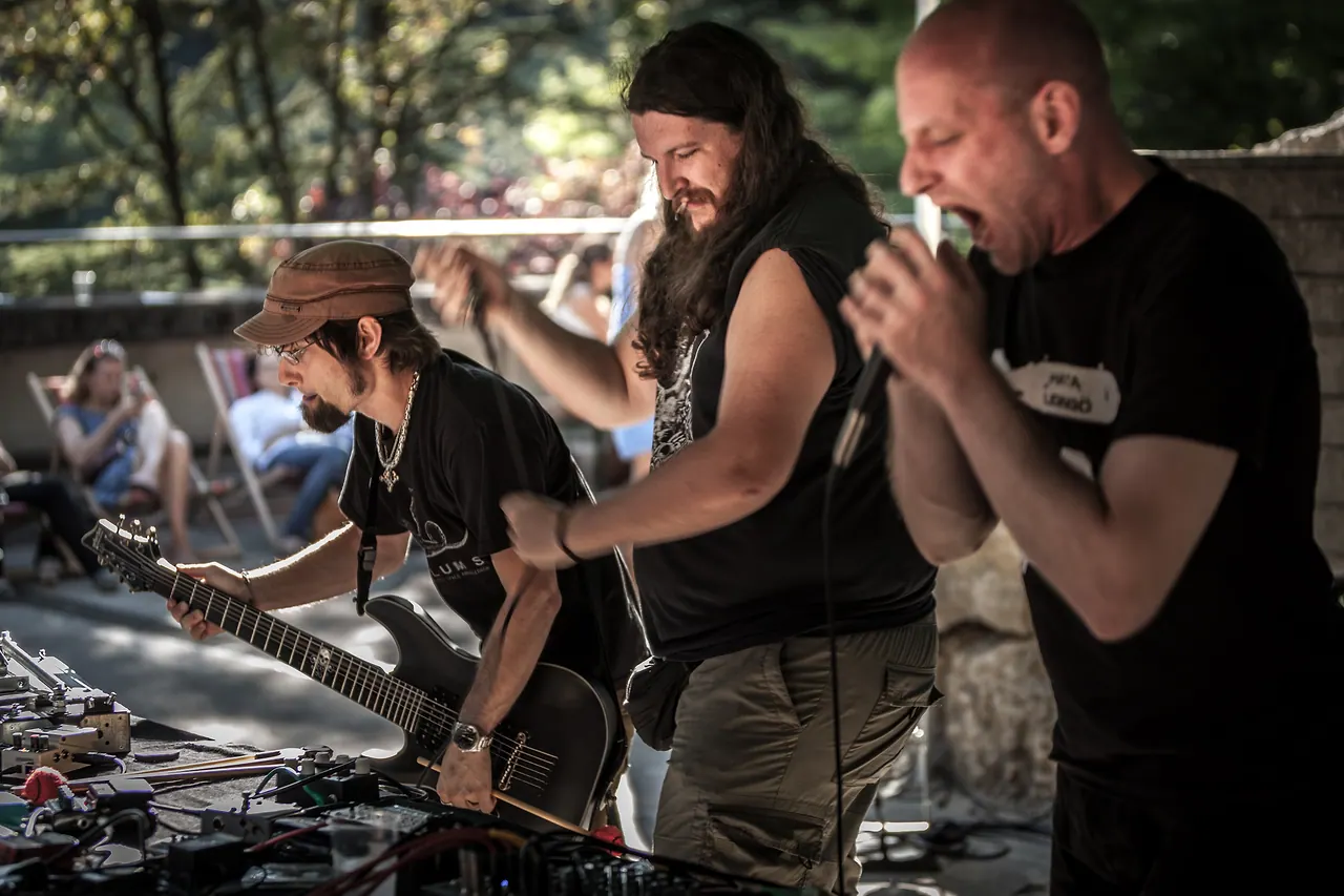 Mulo Muto meets Nagel live at Les Digitales Bern 2015, Botanischer Garten Bern – photo 22 of 29