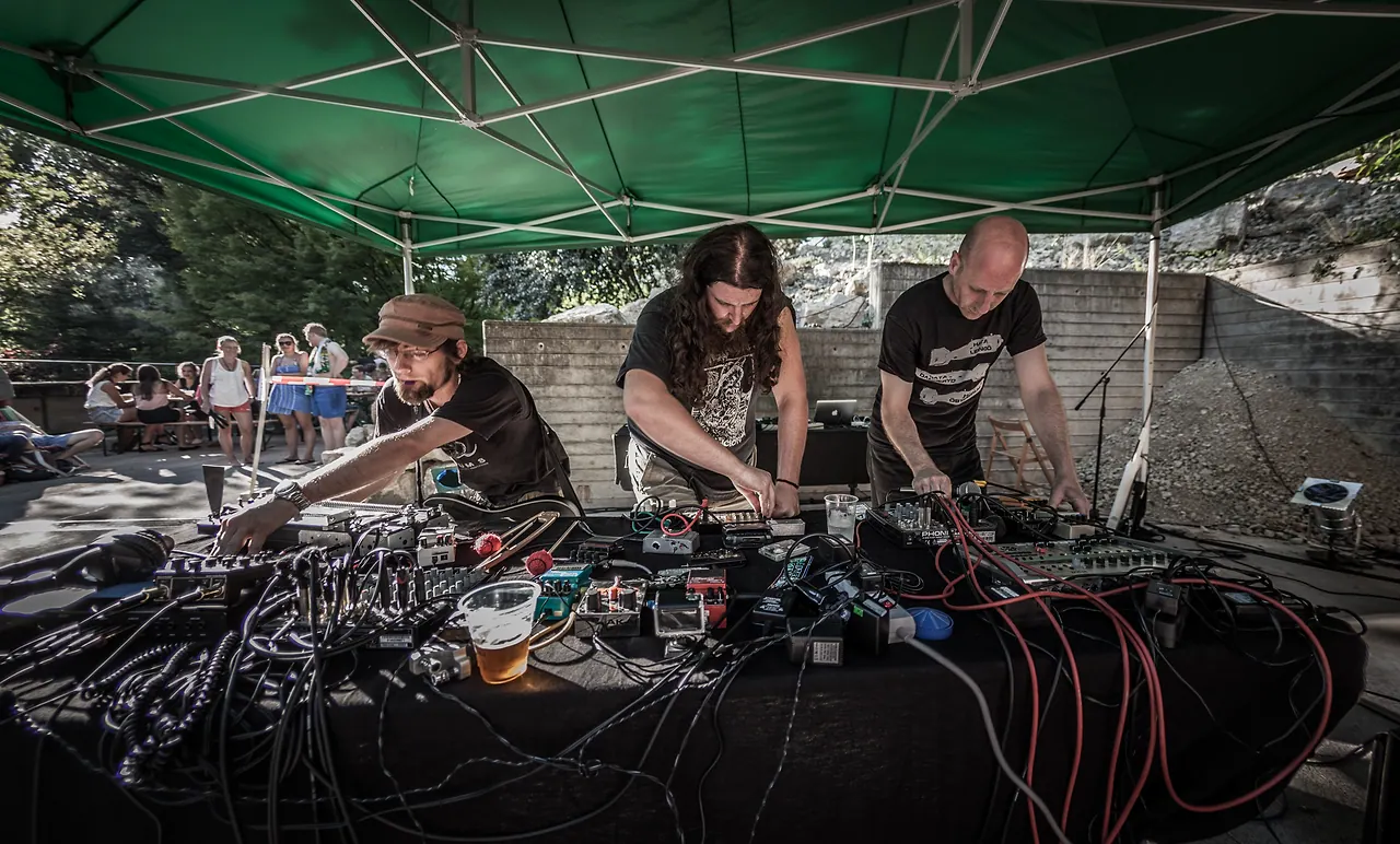 Mulo Muto meets Nagel live at Les Digitales Bern 2015, Botanischer Garten Bern – photo 28 of 29
