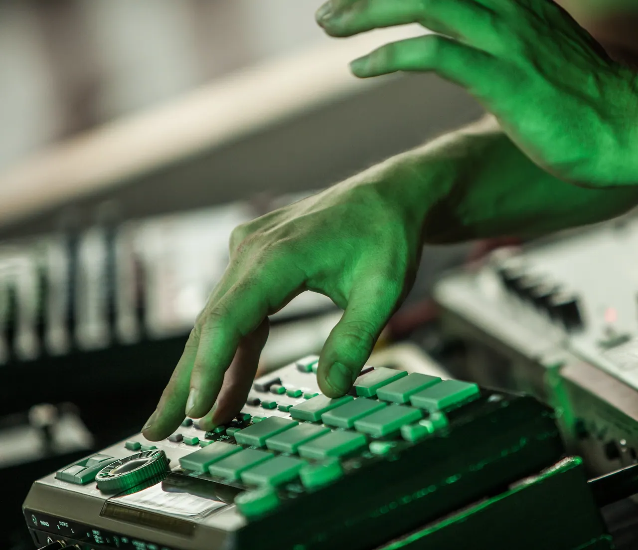 Steiner live an Les Digitales Bern 2015, Botanischer Garten Bern – Foto 15 von 17