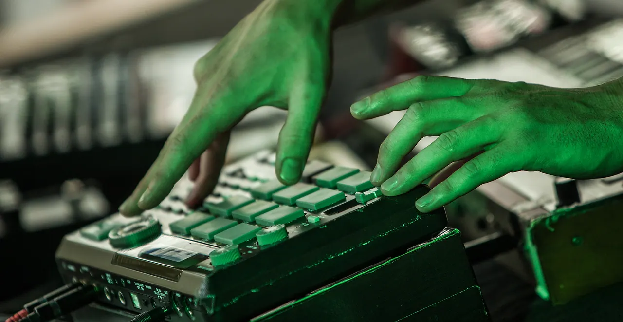 Steiner live an Les Digitales Bern 2015, Botanischer Garten Bern – Foto 16 von 17