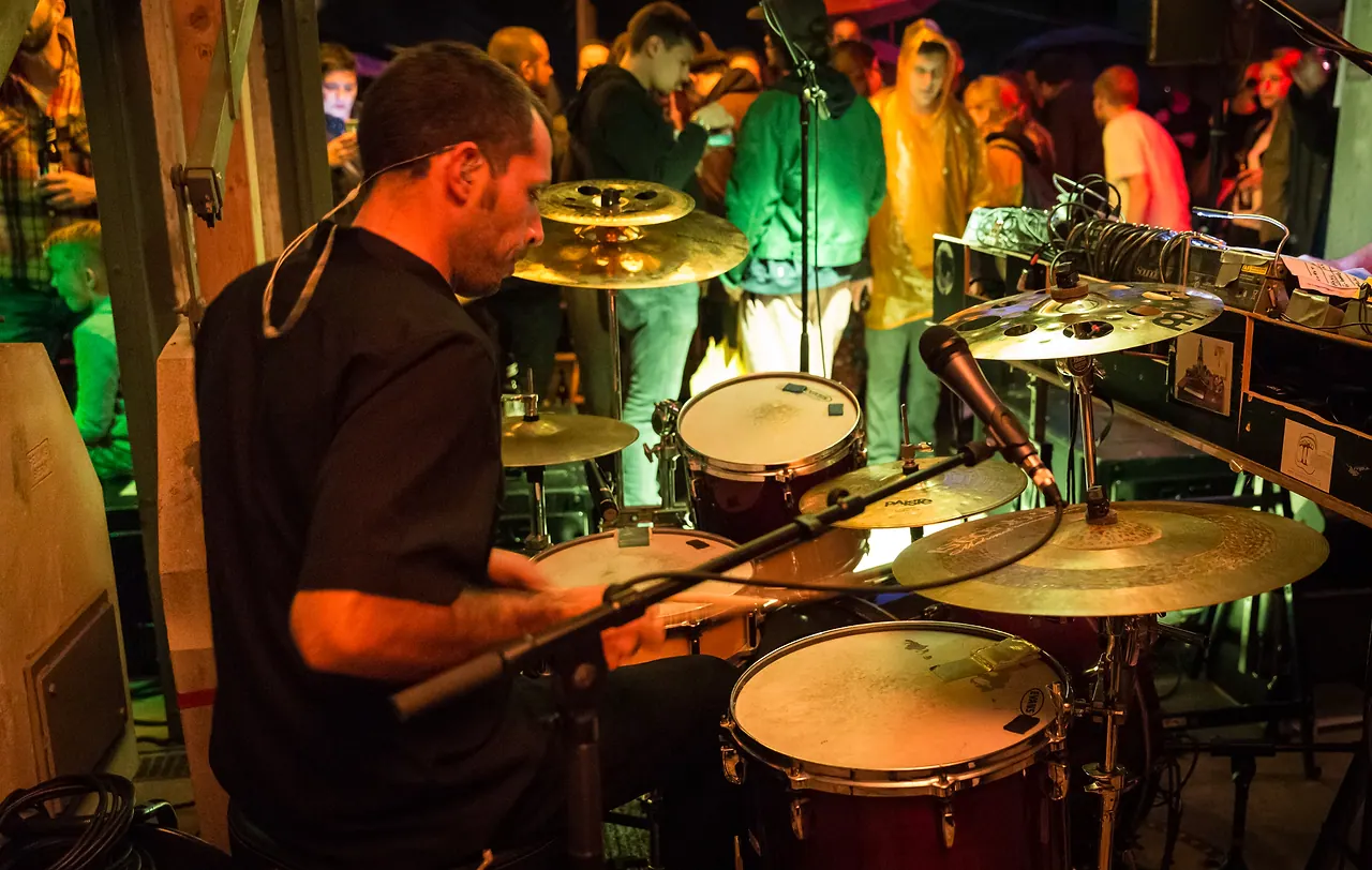 Dirty Purple Turtle live an Les Digitales Bern 2016, Botanischer Garten Bern – Foto 2 von 20