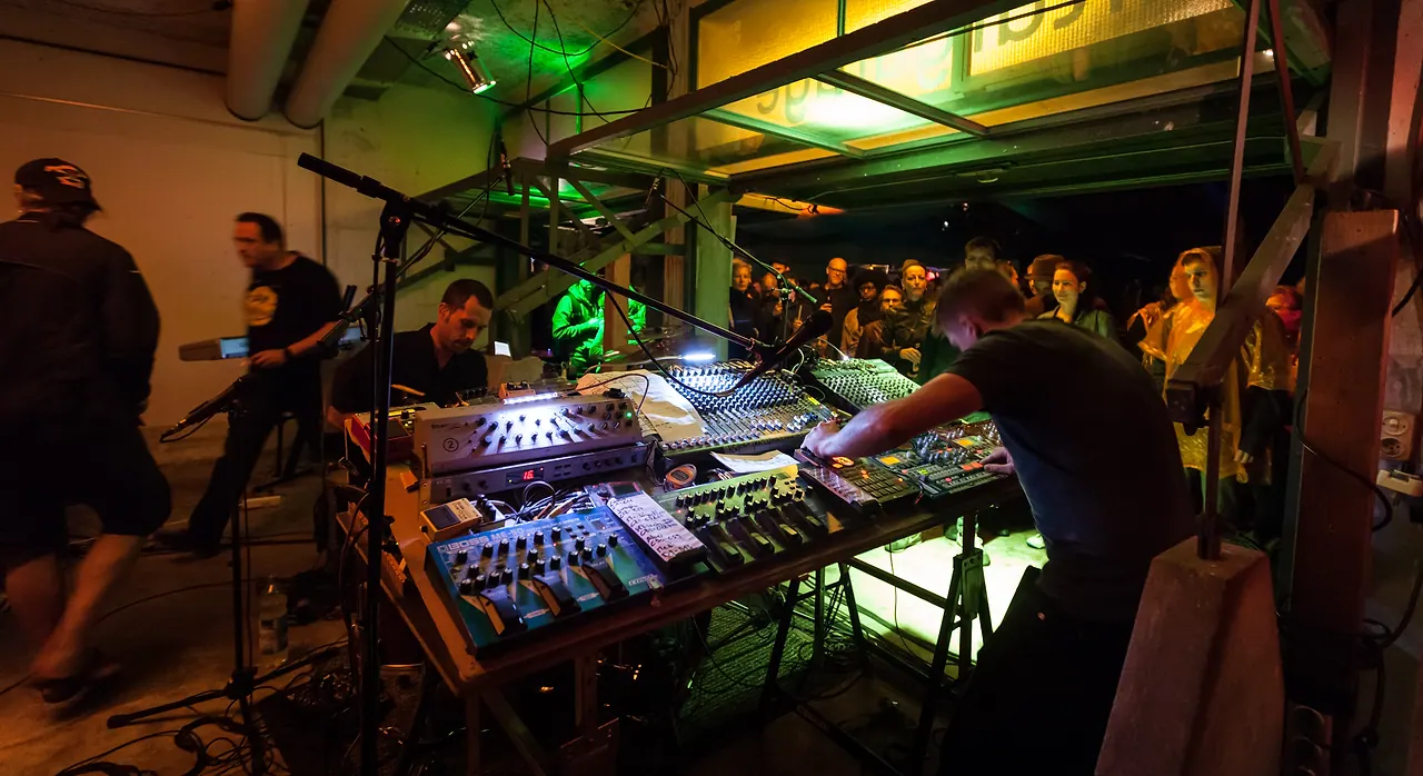 Dirty Purple Turtle live an Les Digitales Bern 2016, Botanischer Garten Bern – Foto 6 von 20