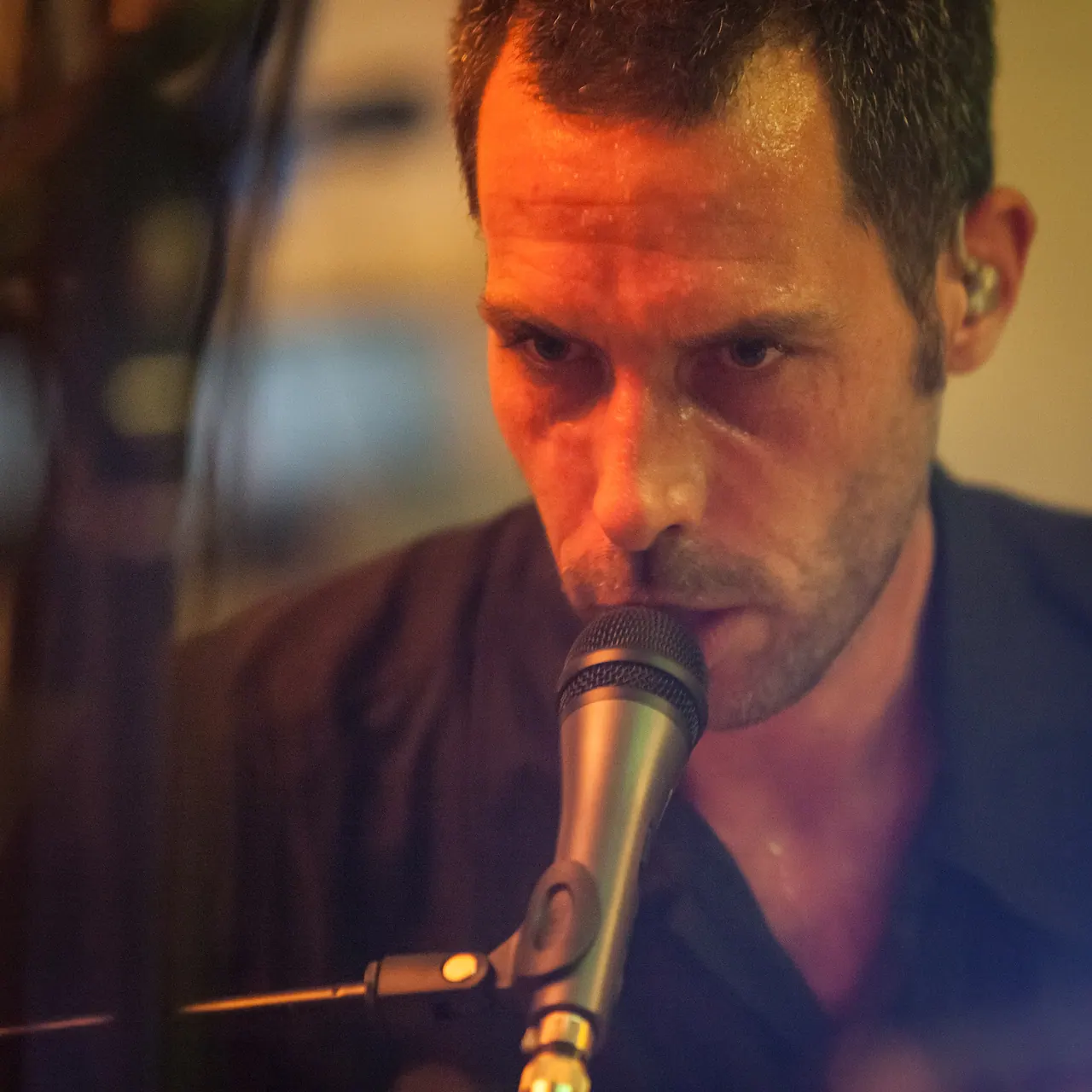 Dirty Purple Turtle live an Les Digitales Bern 2016, Botanischer Garten Bern – Foto 16 von 20