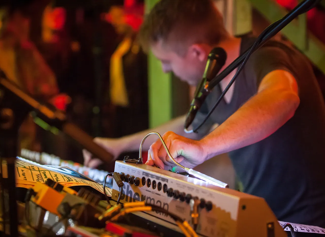 Dirty Purple Turtle live an Les Digitales Bern 2016, Botanischer Garten Bern – Foto 18 von 20