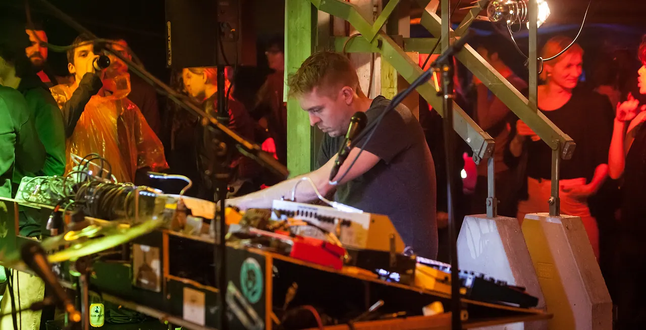 Dirty Purple Turtle live an Les Digitales Bern 2016, Botanischer Garten Bern – Foto 20 von 20