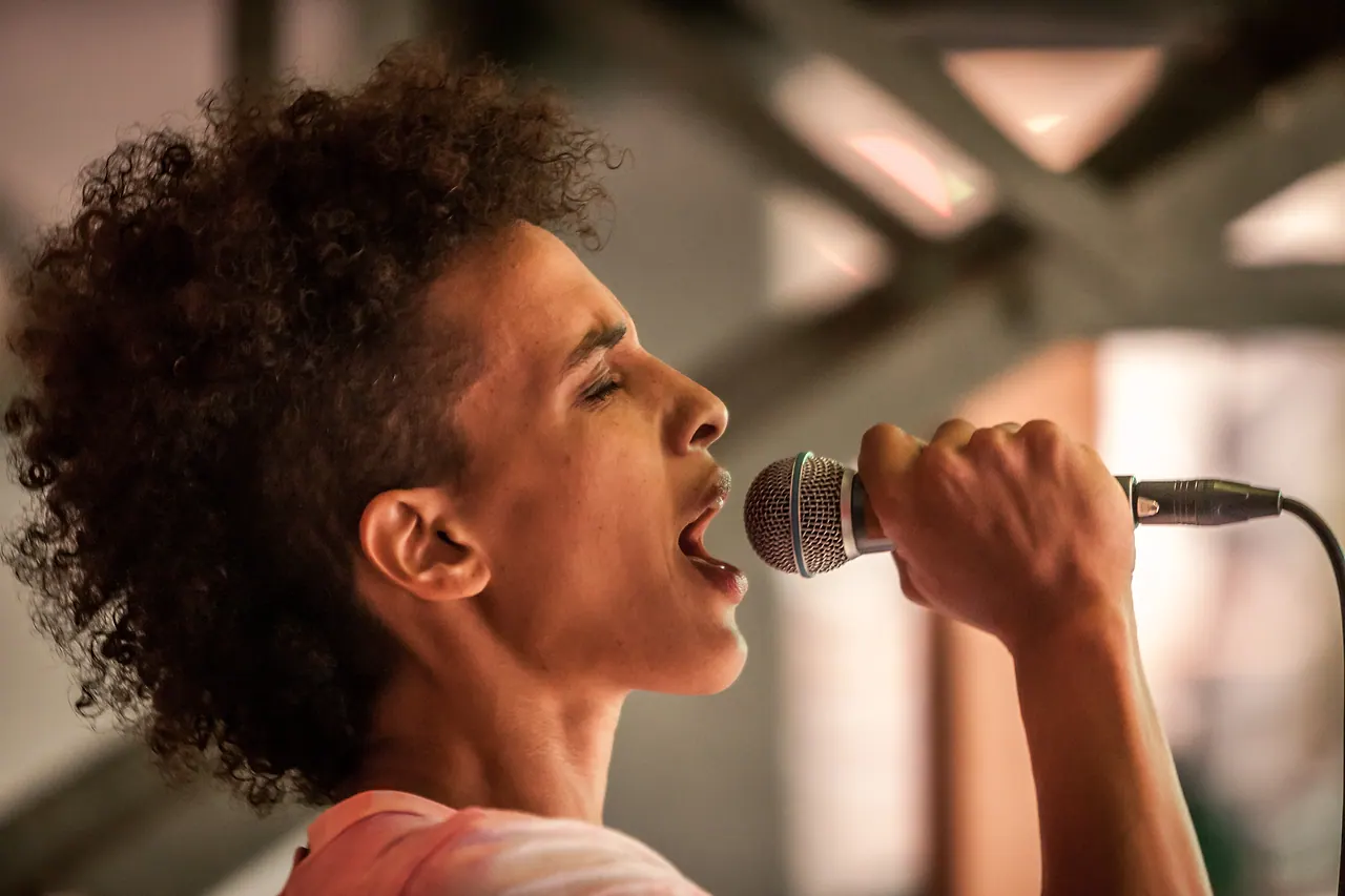 Sissy Fox live an Les Digitales Bern 2016, Botanischer Garten Bern – Foto 9 von 11