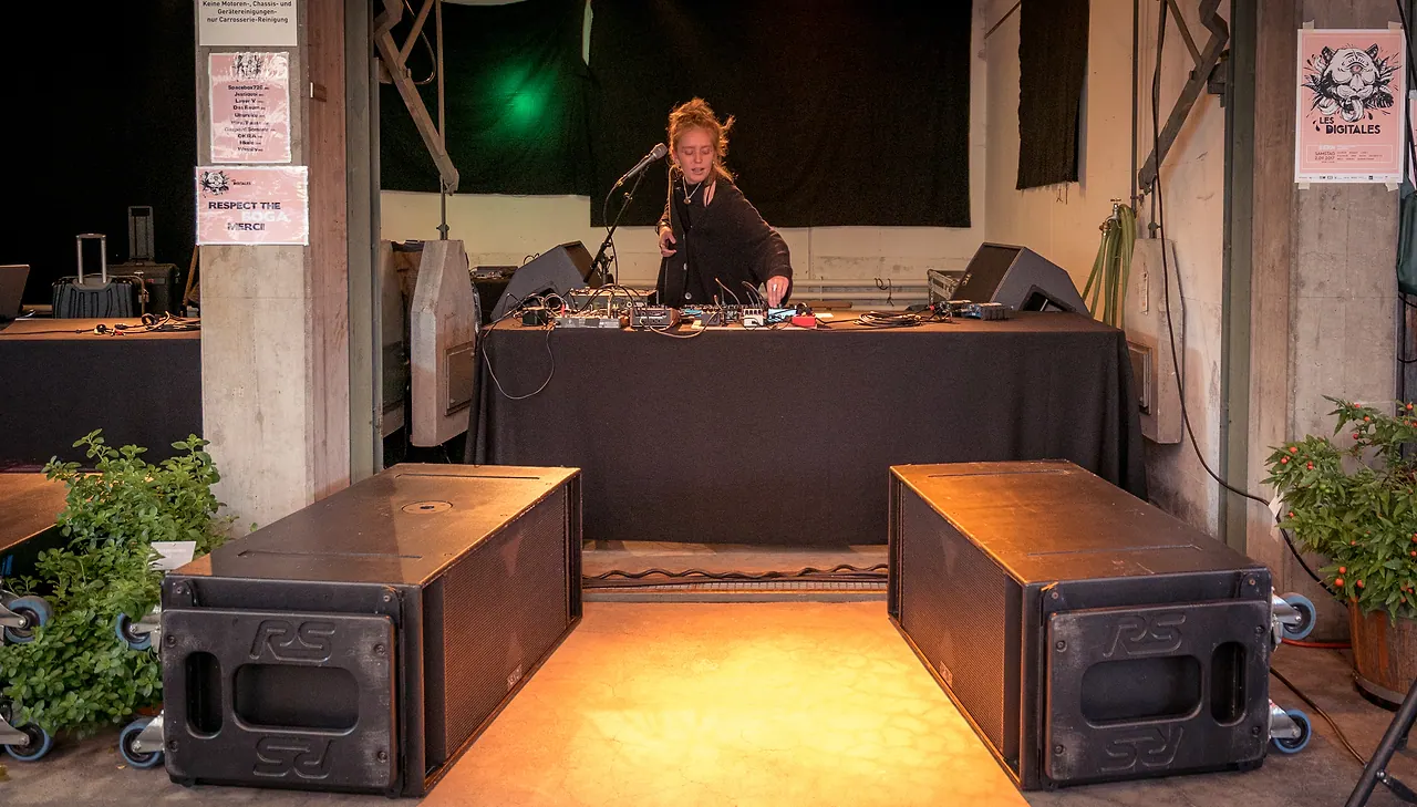 Das Reum live an Les Digitales Bern 2017, Botanischer Garten Bern – Foto 12 von 16