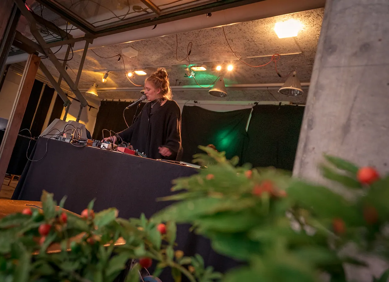 Das Reum live an Les Digitales Bern 2017, Botanischer Garten Bern – Foto 13 von 16