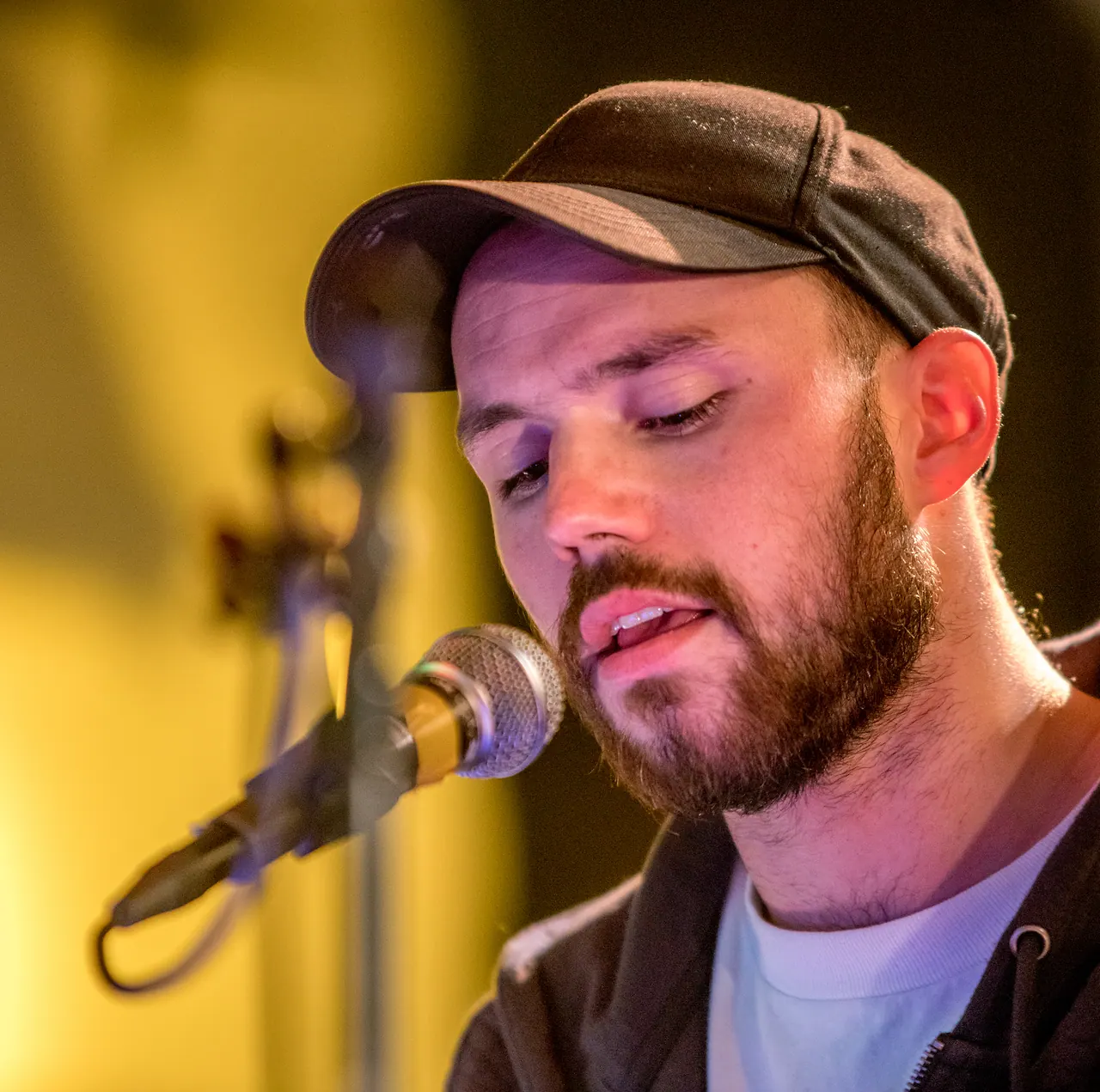 Gaspard Sommer live at Les Digitales Bern 2017, Botanischer Garten Bern – photo 8 of 9