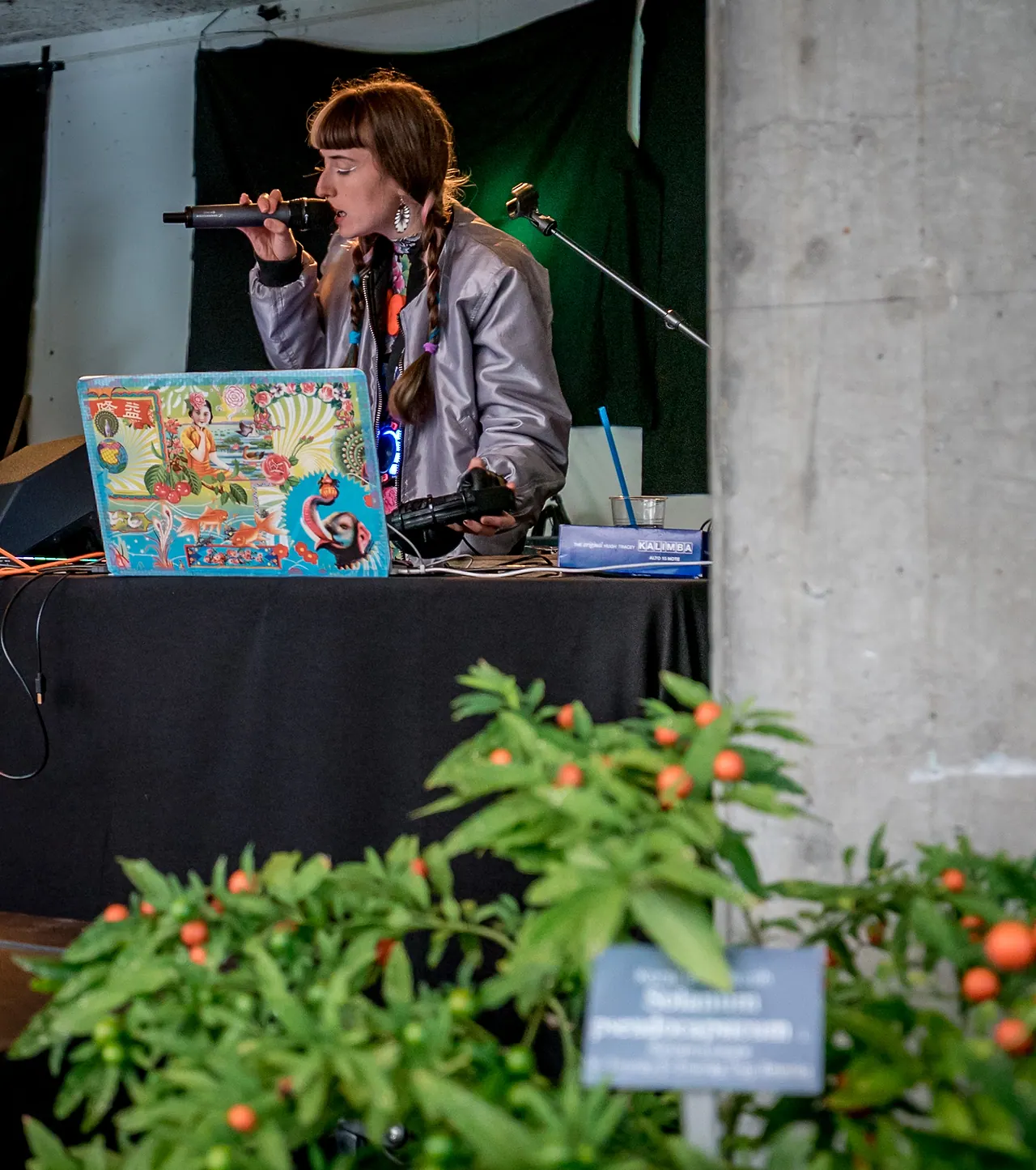 Jessiquoi live an Les Digitales Bern 2017, Botanischer Garten Bern – Foto 3 von 21