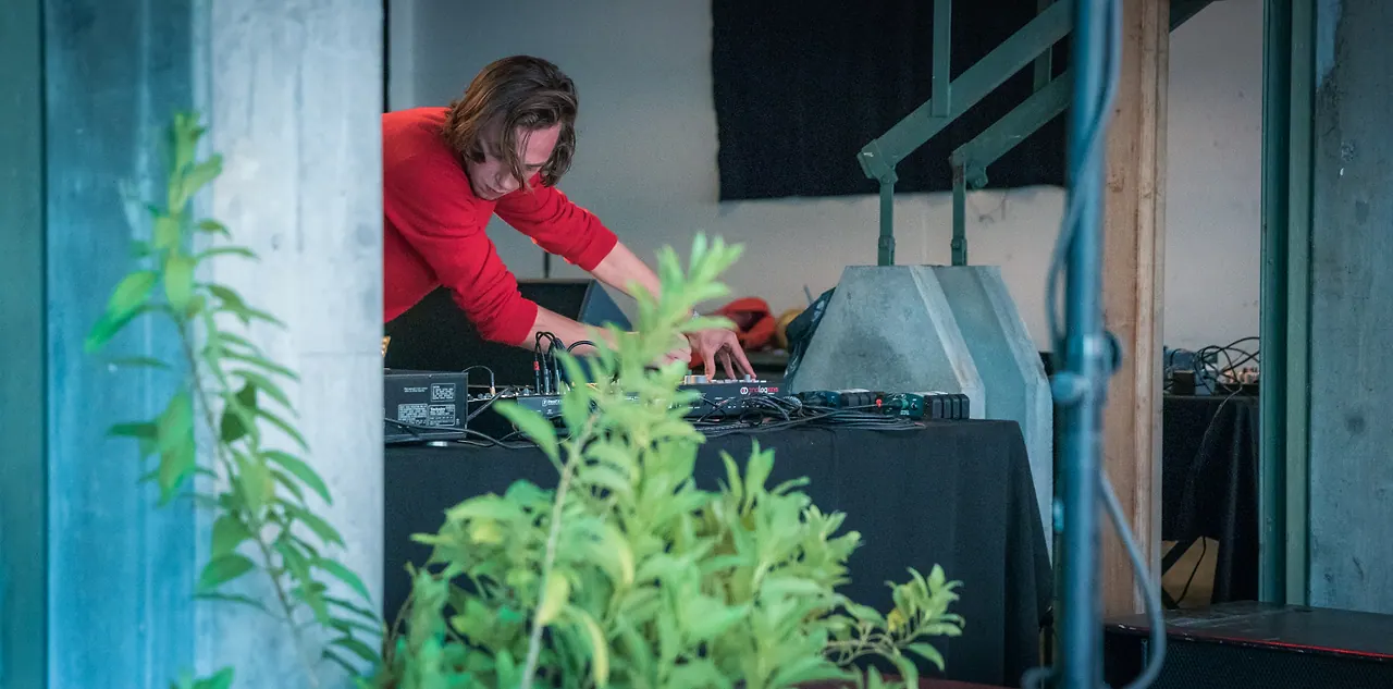 Layer V live an Les Digitales Bern 2017, Botanischer Garten Bern – Foto 2 von 18